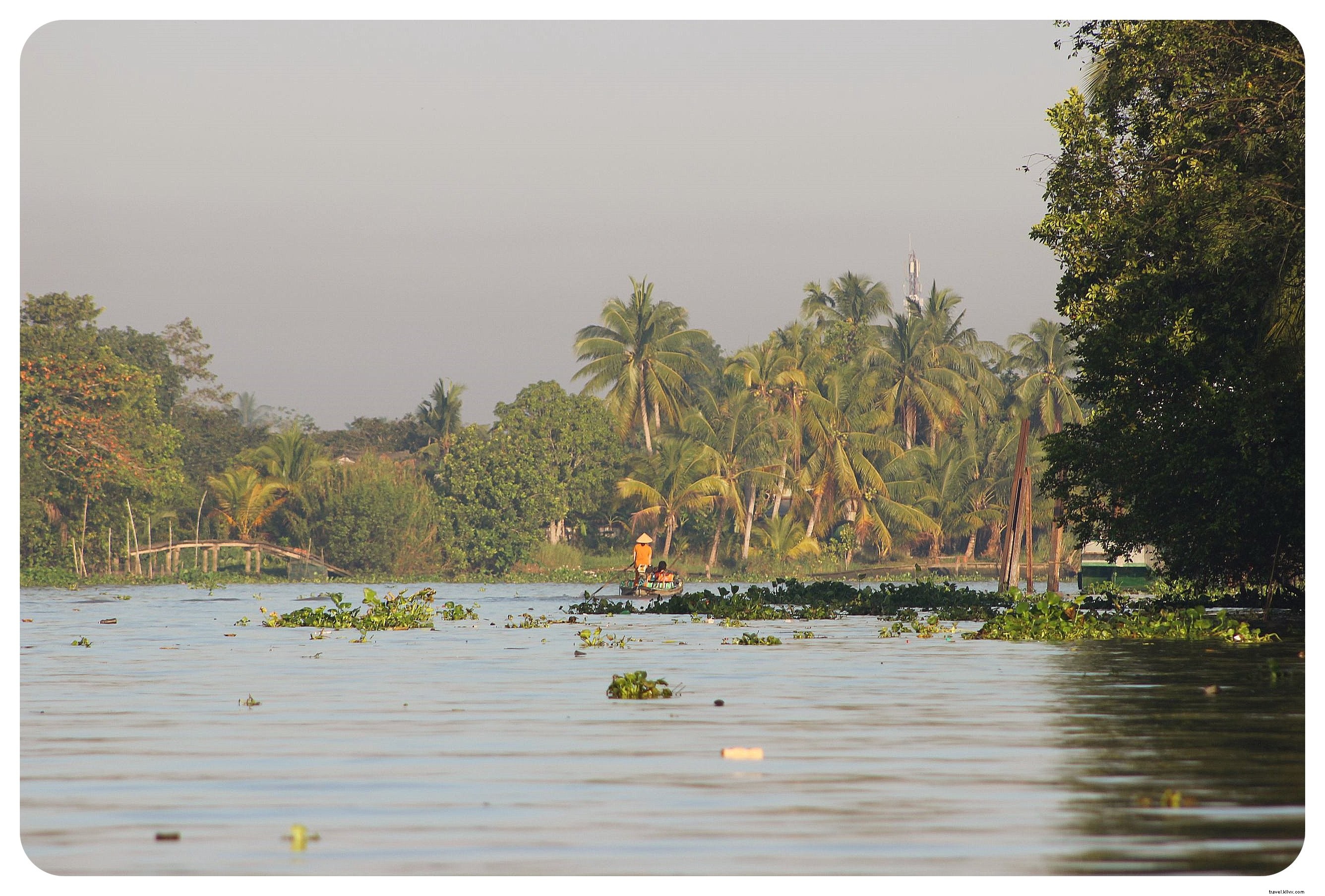Discover Vietnam s Mekong Delta: Floating Markets, Riverside Life, and Essential Travel Tips