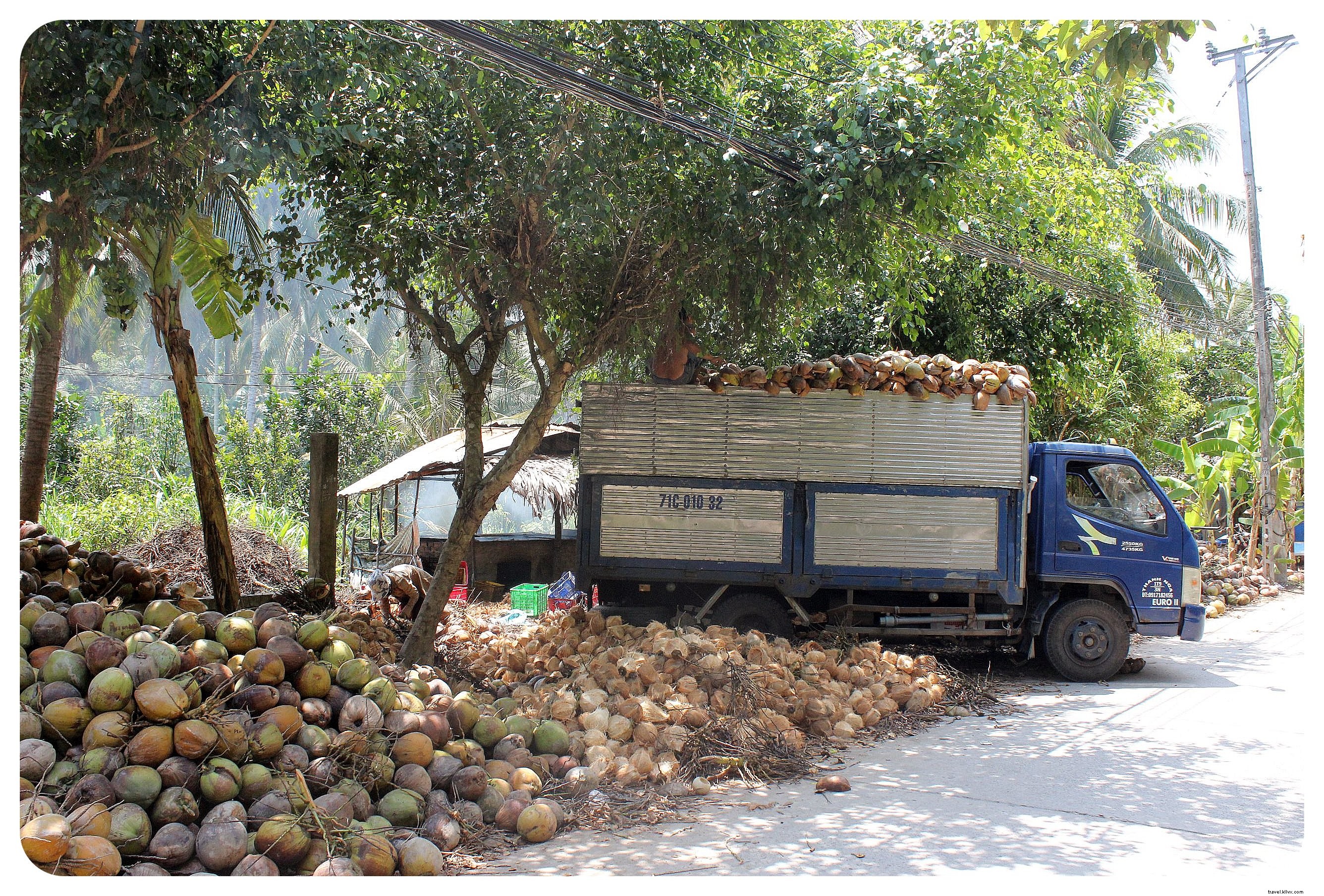 Discover Vietnam s Mekong Delta: Floating Markets, Riverside Life, and Essential Travel Tips