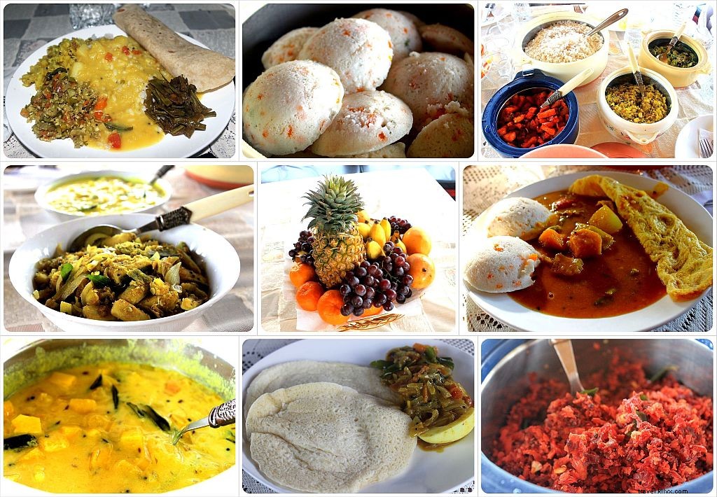 Kerala, India: Serene Backwaters, Lush Tea Hills, and Unforgettable Hospitality