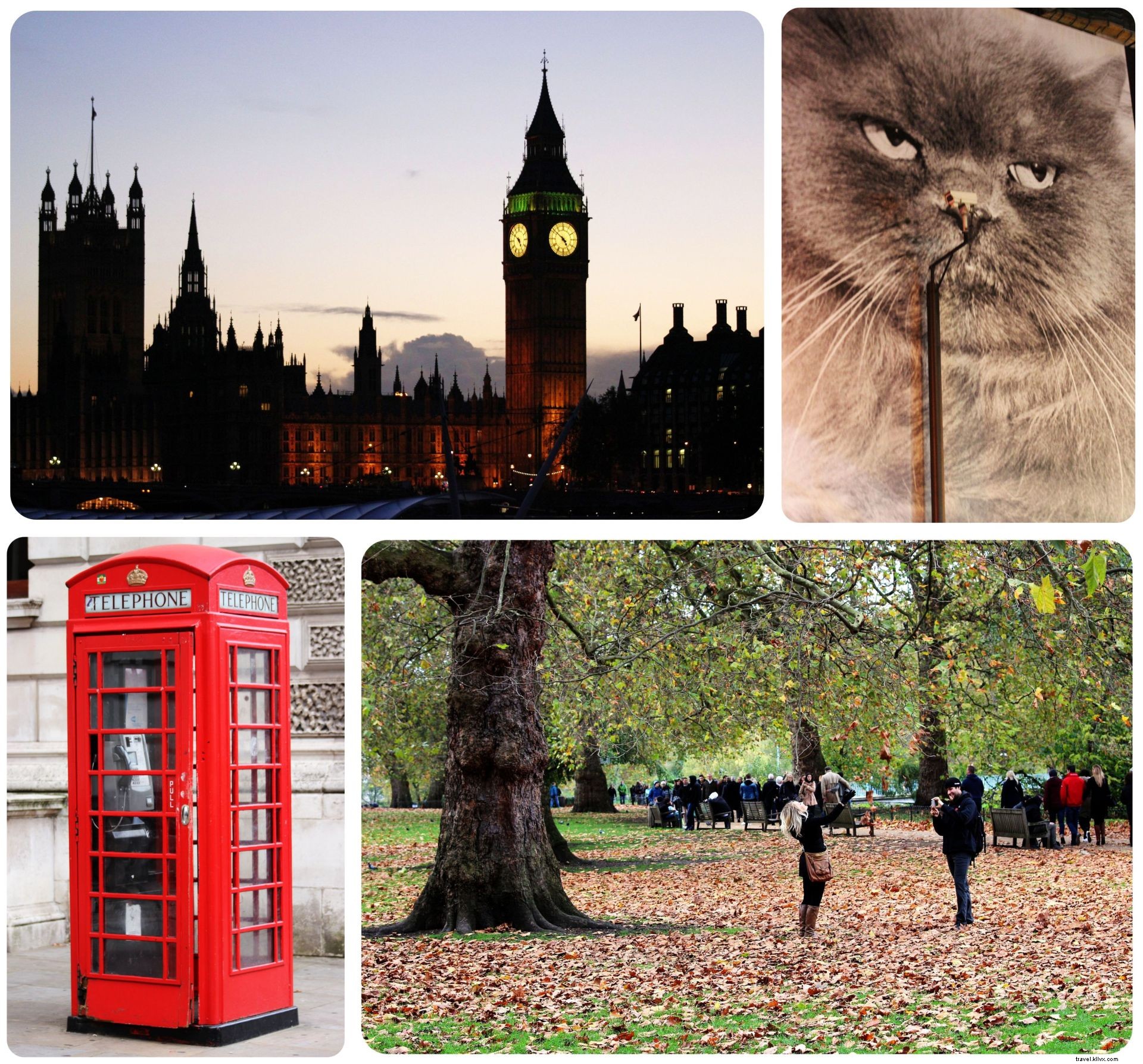 Life Lately and Upcoming Travels: My November 2014 Adventures