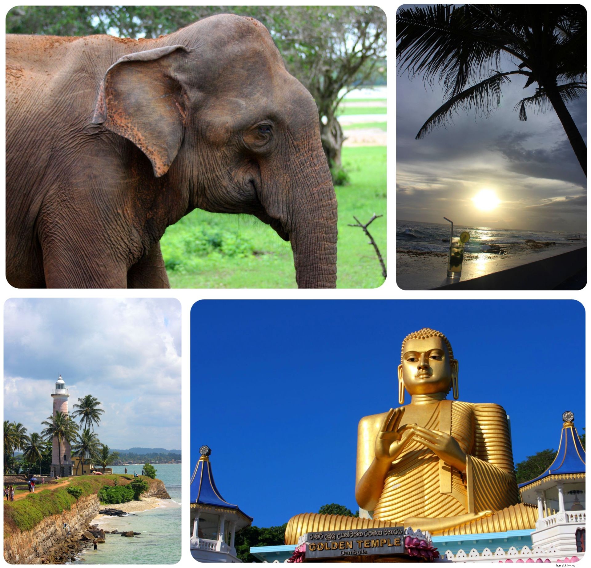 Life Lately and Upcoming Travels: My November 2014 Adventures