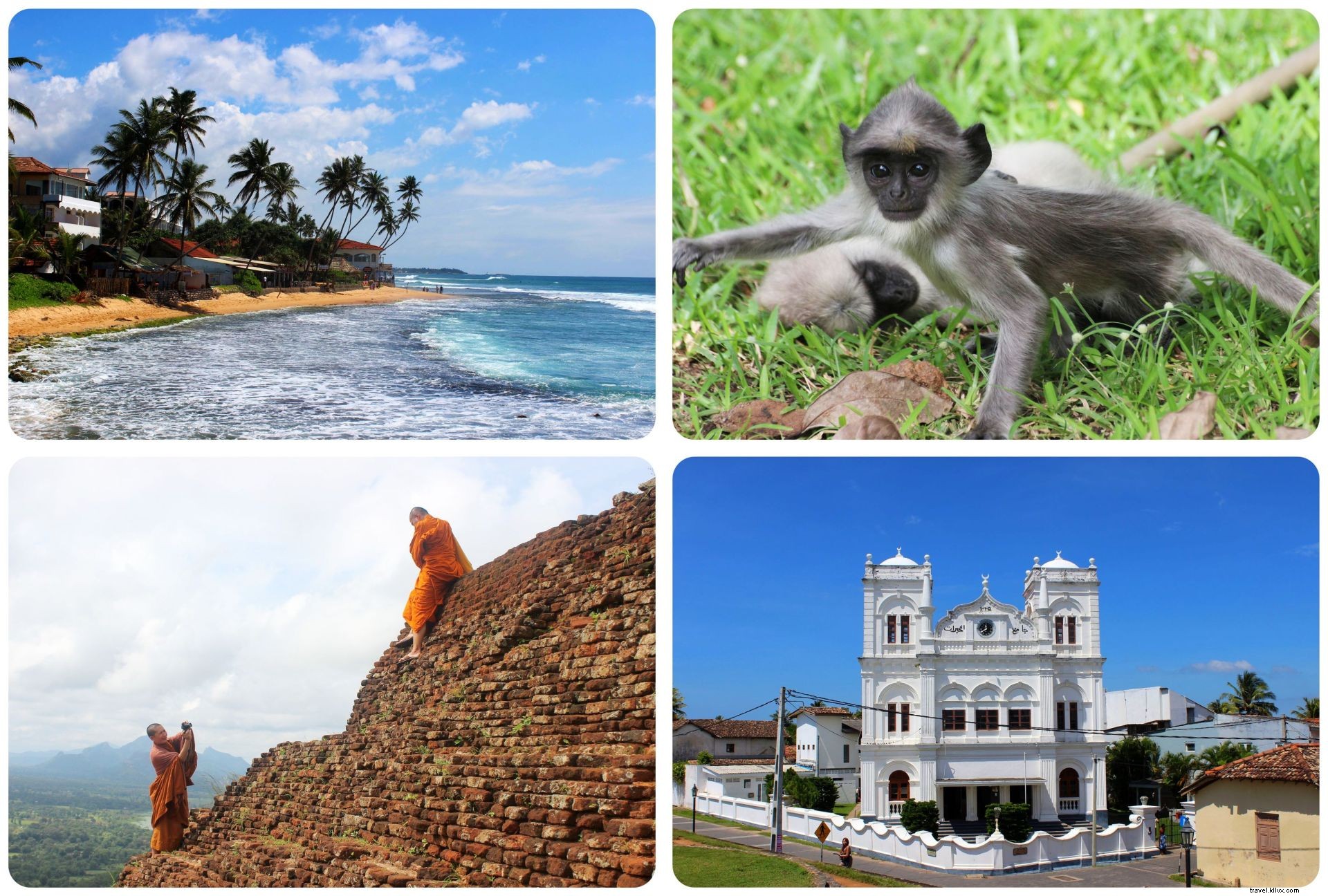 Life Lately and Upcoming Travels: My November 2014 Adventures