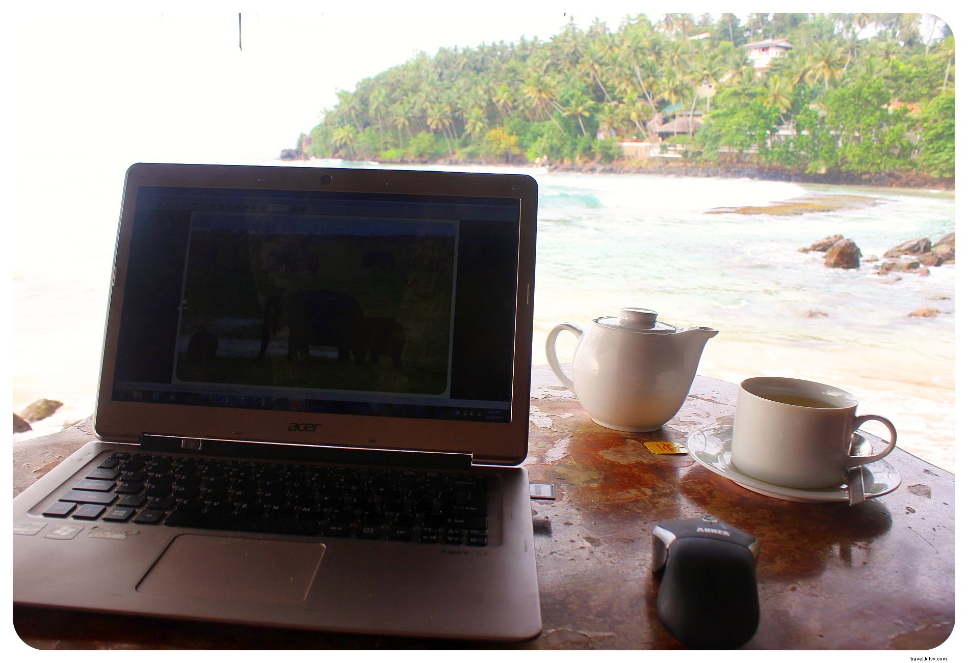 Life Lately and Upcoming Travels: My November 2014 Adventures