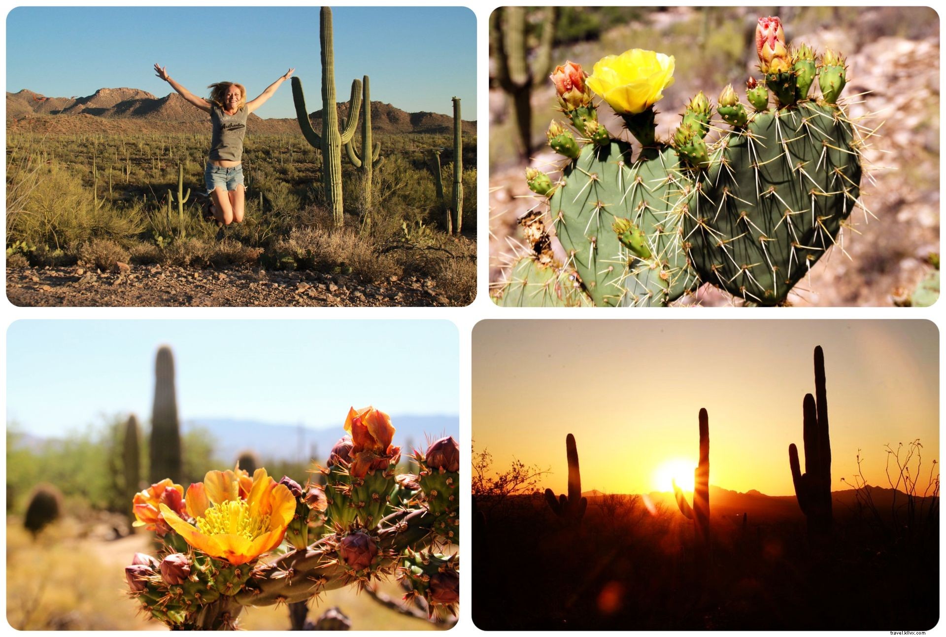 April 2016 Travel Recap: Yucatan Road Trip, Isla Mujeres, Tucson Adventures & What s Next