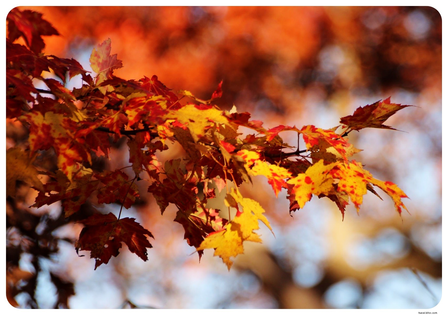 5 Most Romantic Autumn Getaways in England: Ideal Weekend Escapes