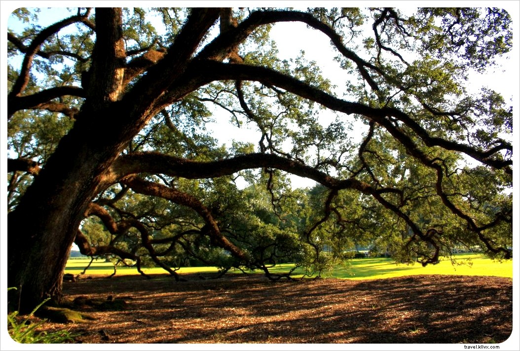 5 Most Romantic Autumn Getaways in England: Ideal Weekend Escapes