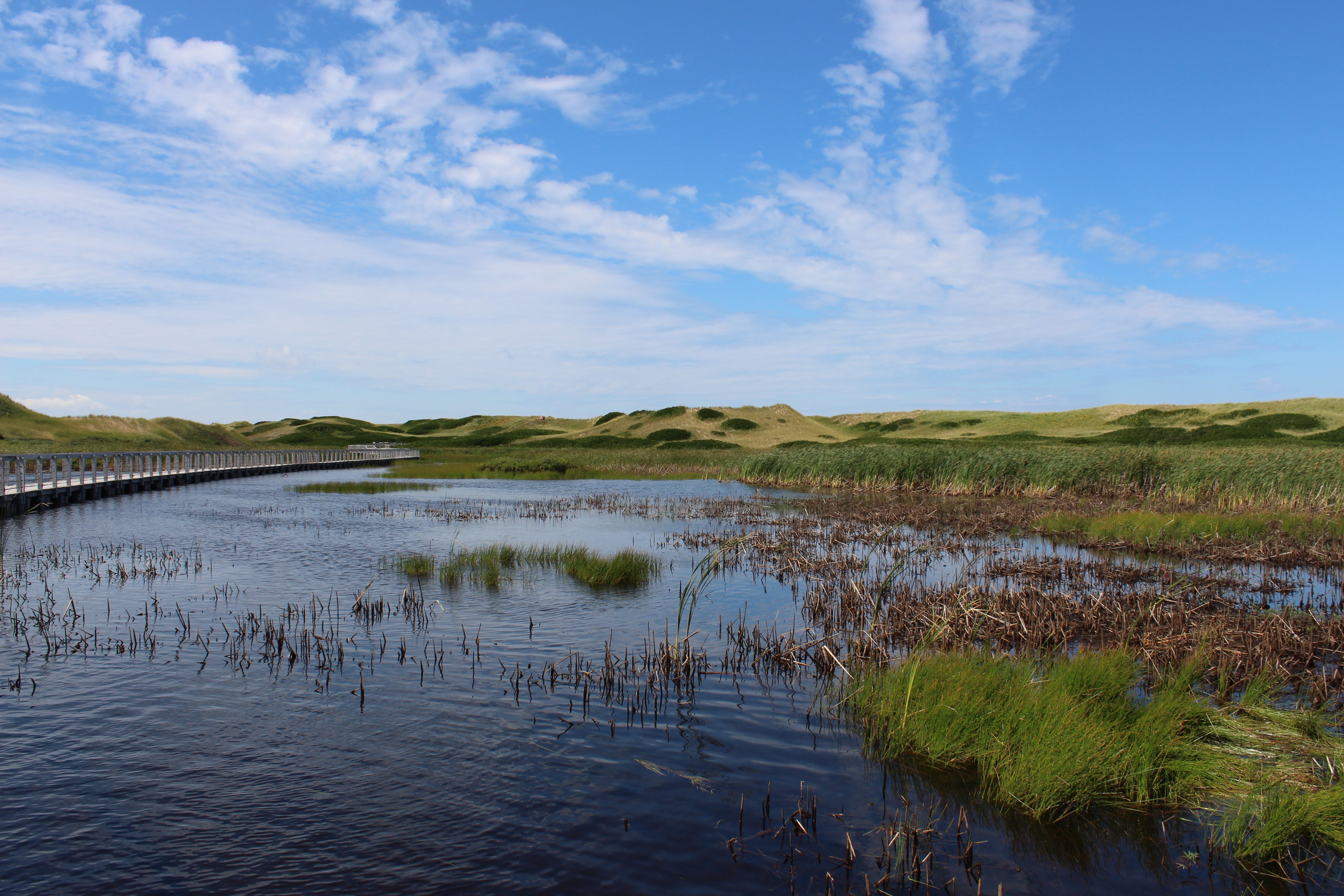 Top 6 Must-Visit National Parks in Canada: Stunning Landscapes and Adventure Guide