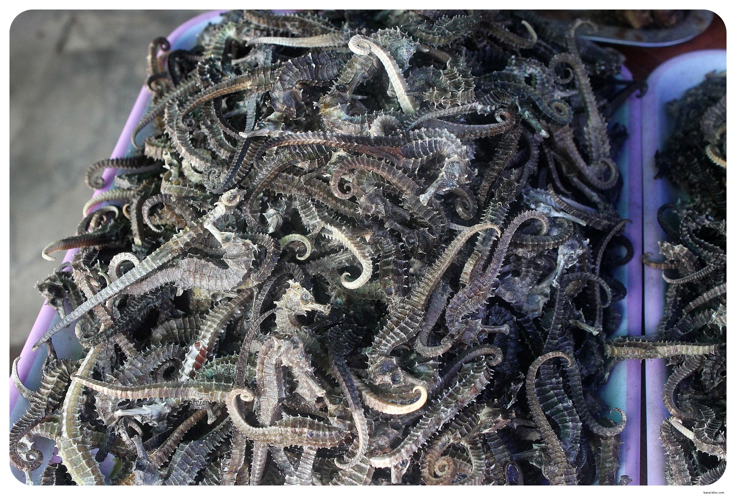 Phu Quoc: Vietnam s Phuket? Honest Review of Beaches, Development, and Insider Tips