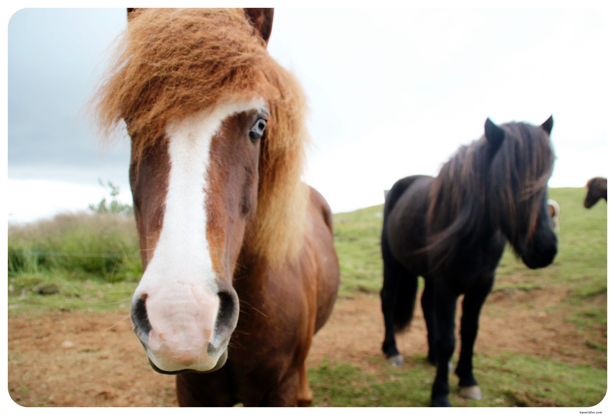 3 Compelling Reasons Why Road Tripping is the Best Way to Explore Iceland