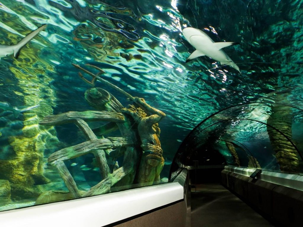 Top Instagram-Worthy Spots on Australia s Sunshine Coast