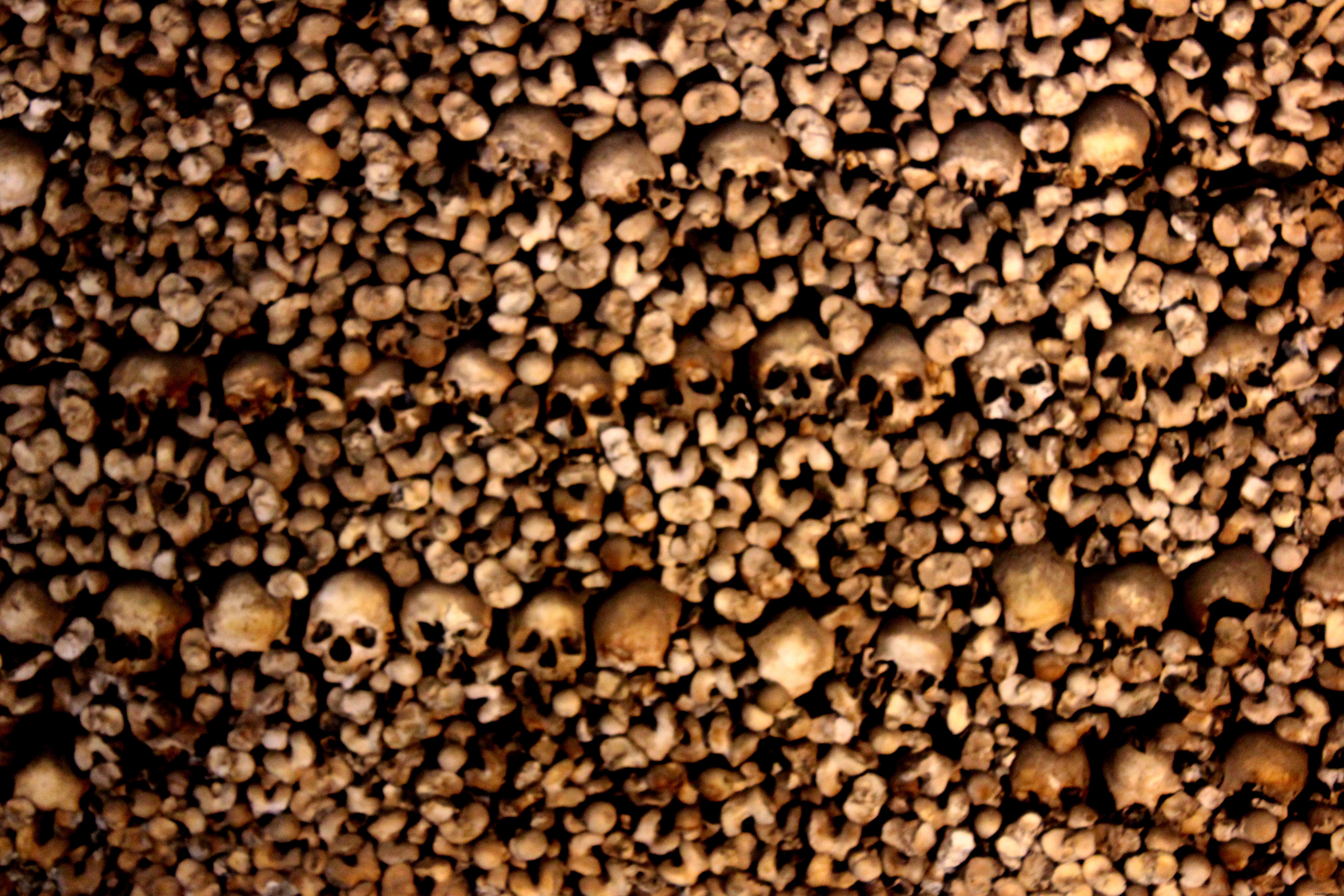 From Faro: East or West? Top Algarve Attractions and Day Trips