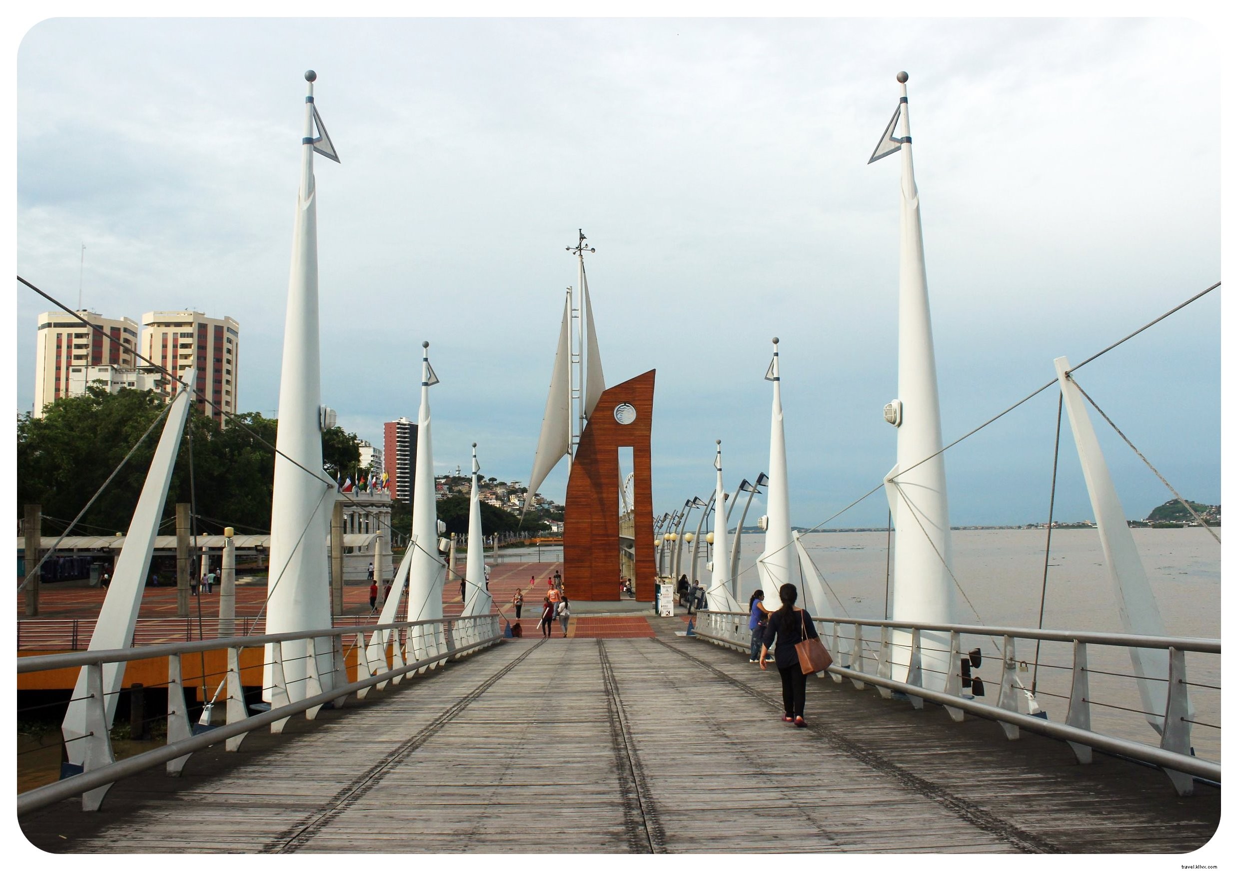 Why Iguanas Won Me Over in Guayaquil: Exploring Ecuador s Bustling Port City
