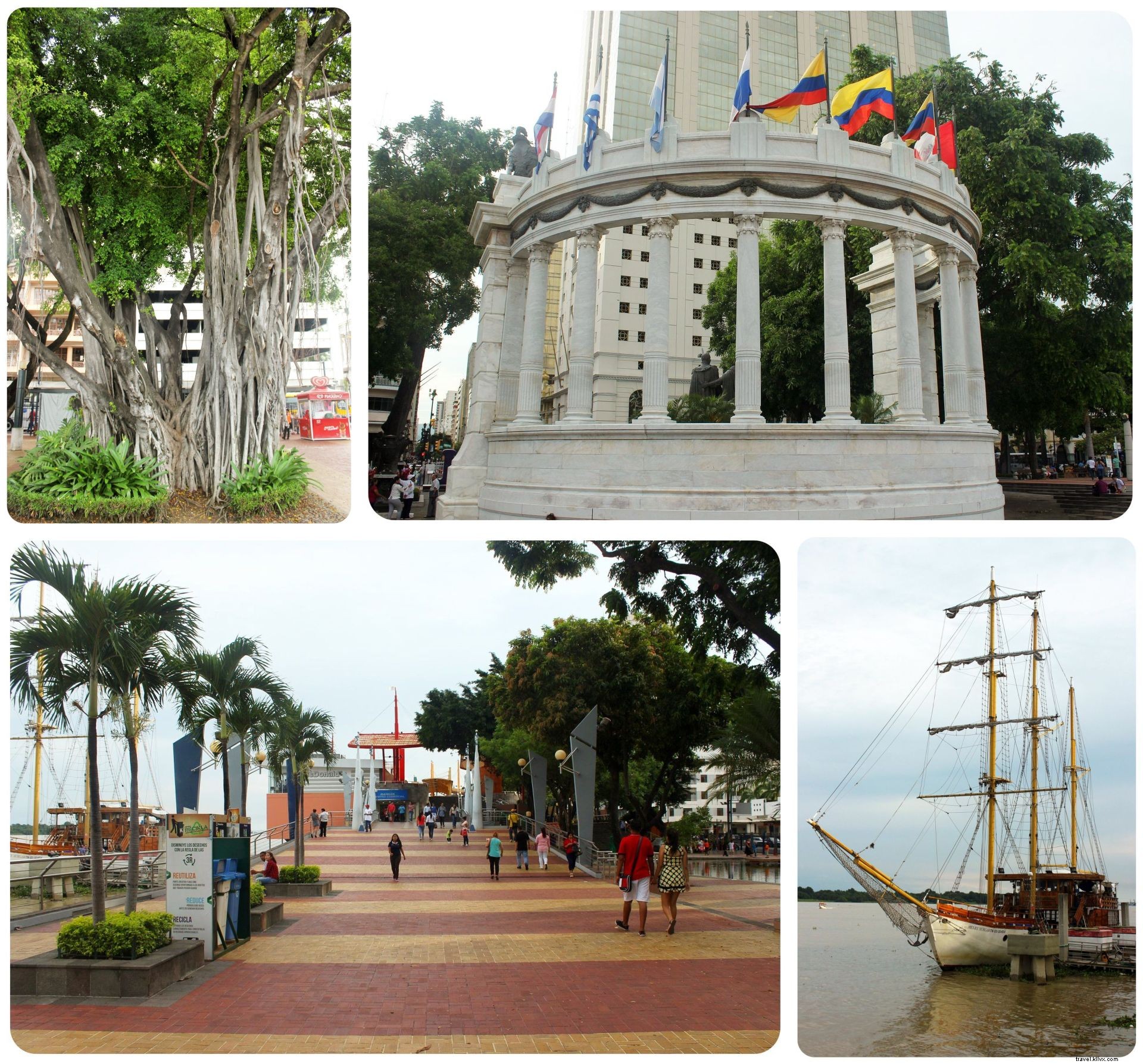 Why Iguanas Won Me Over in Guayaquil: Exploring Ecuador s Bustling Port City