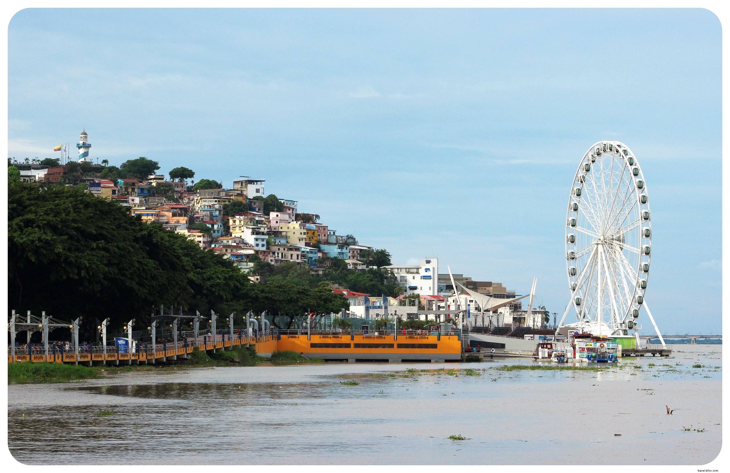 Why Iguanas Won Me Over in Guayaquil: Exploring Ecuador s Bustling Port City