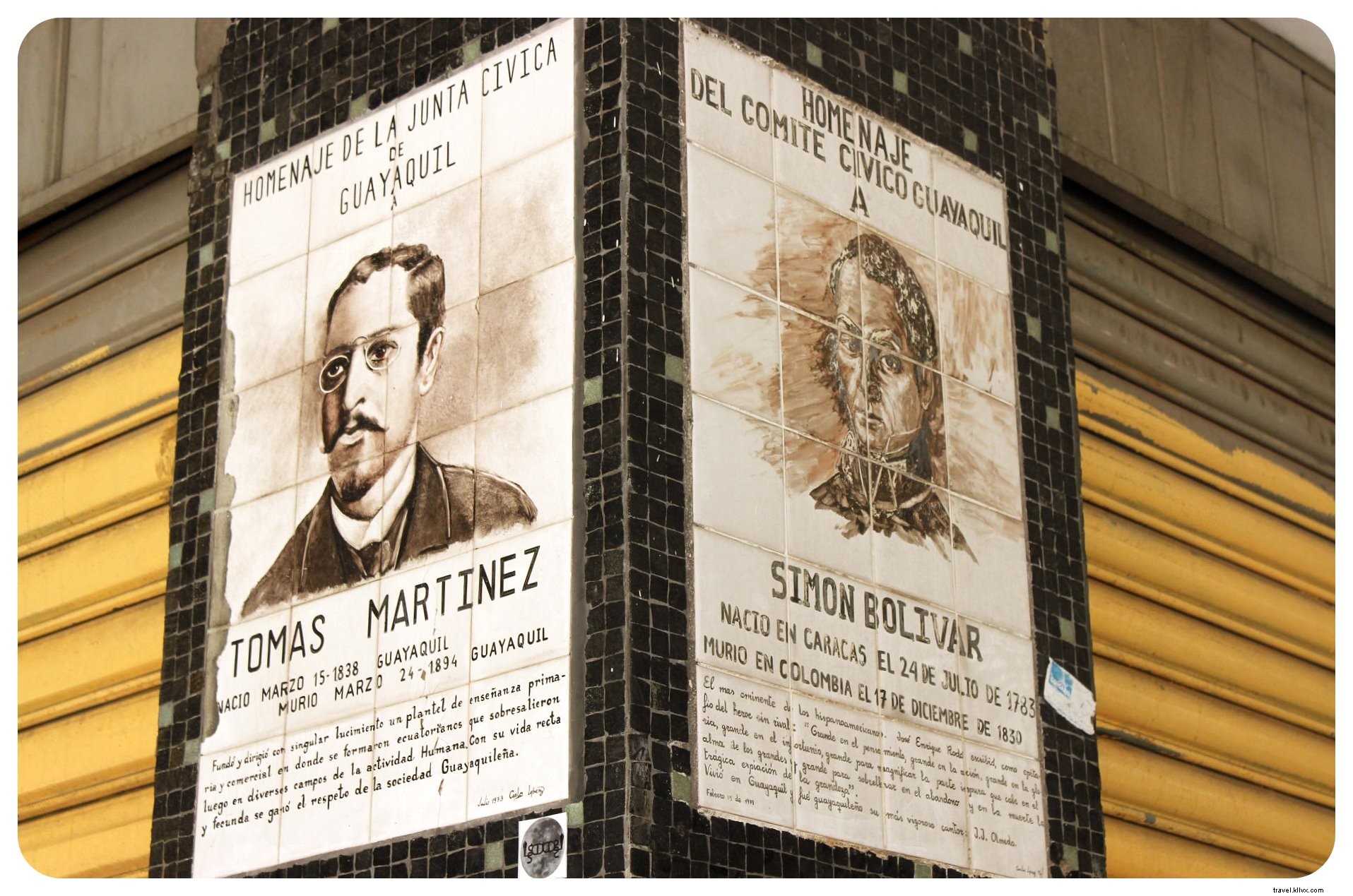 Why Iguanas Won Me Over in Guayaquil: Exploring Ecuador s Bustling Port City