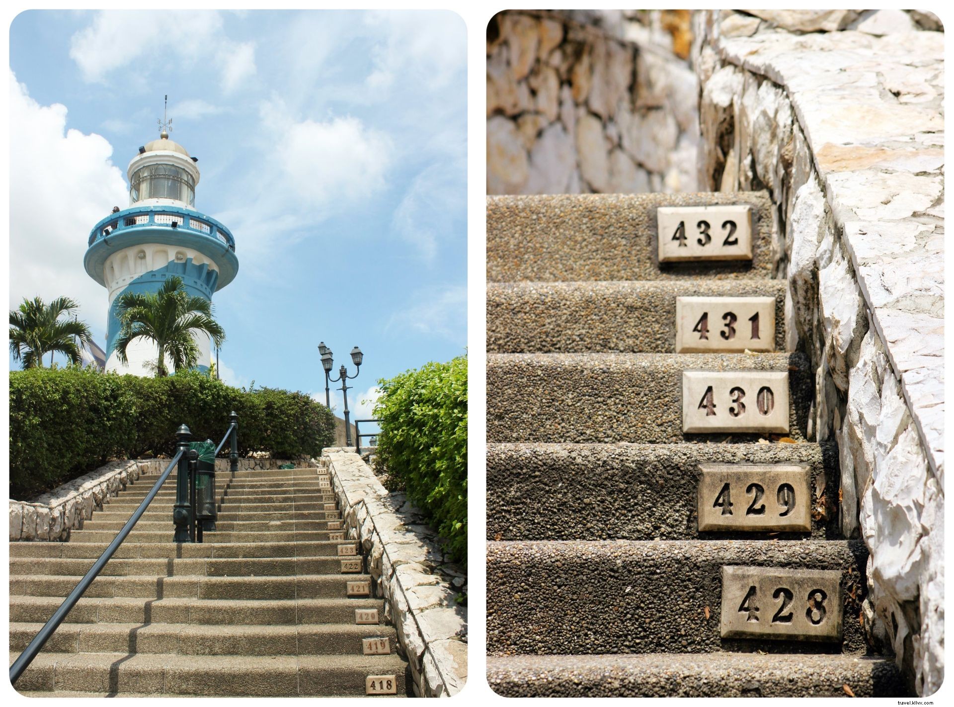 Why Iguanas Won Me Over in Guayaquil: Exploring Ecuador s Bustling Port City