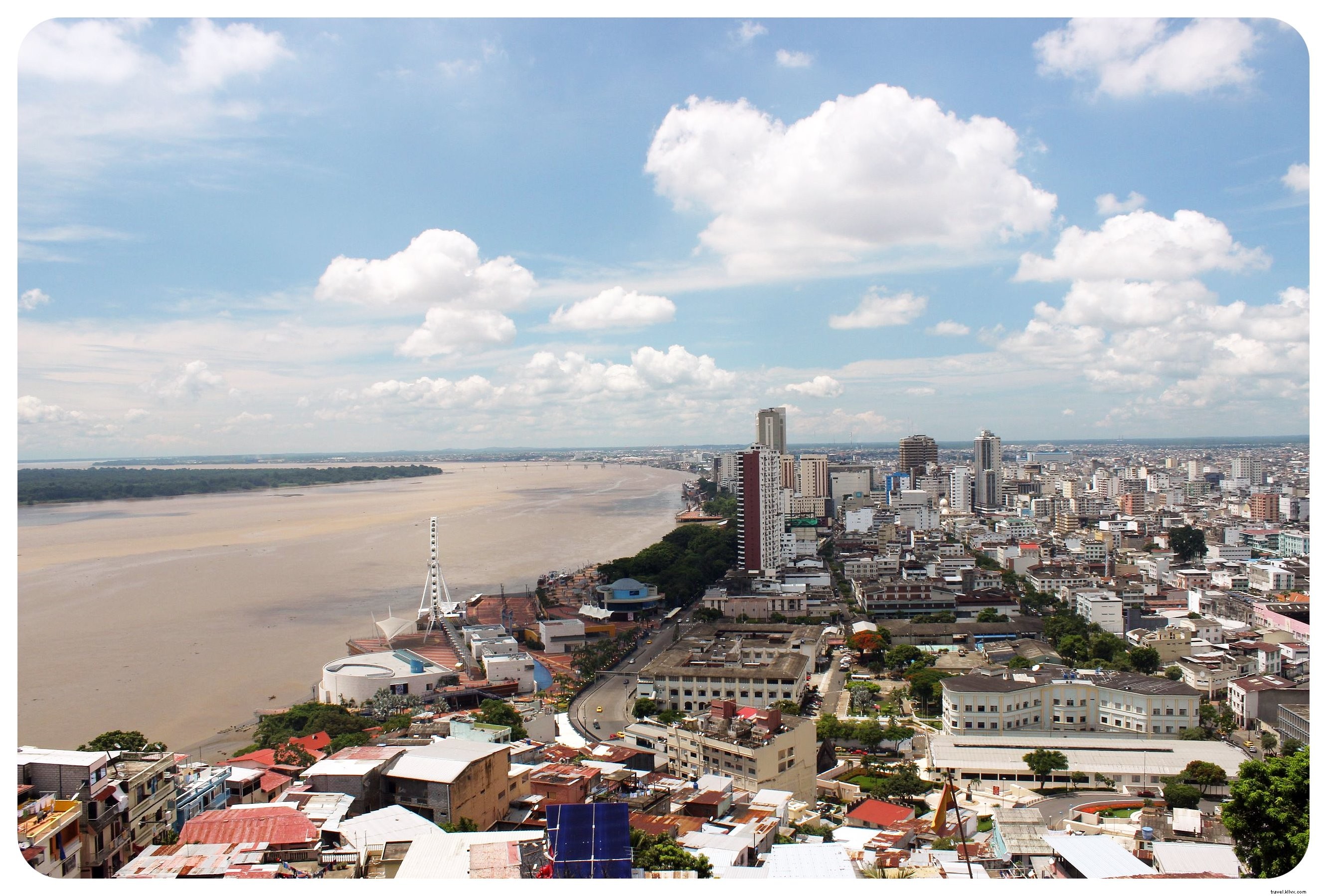 Why Iguanas Won Me Over in Guayaquil: Exploring Ecuador s Bustling Port City