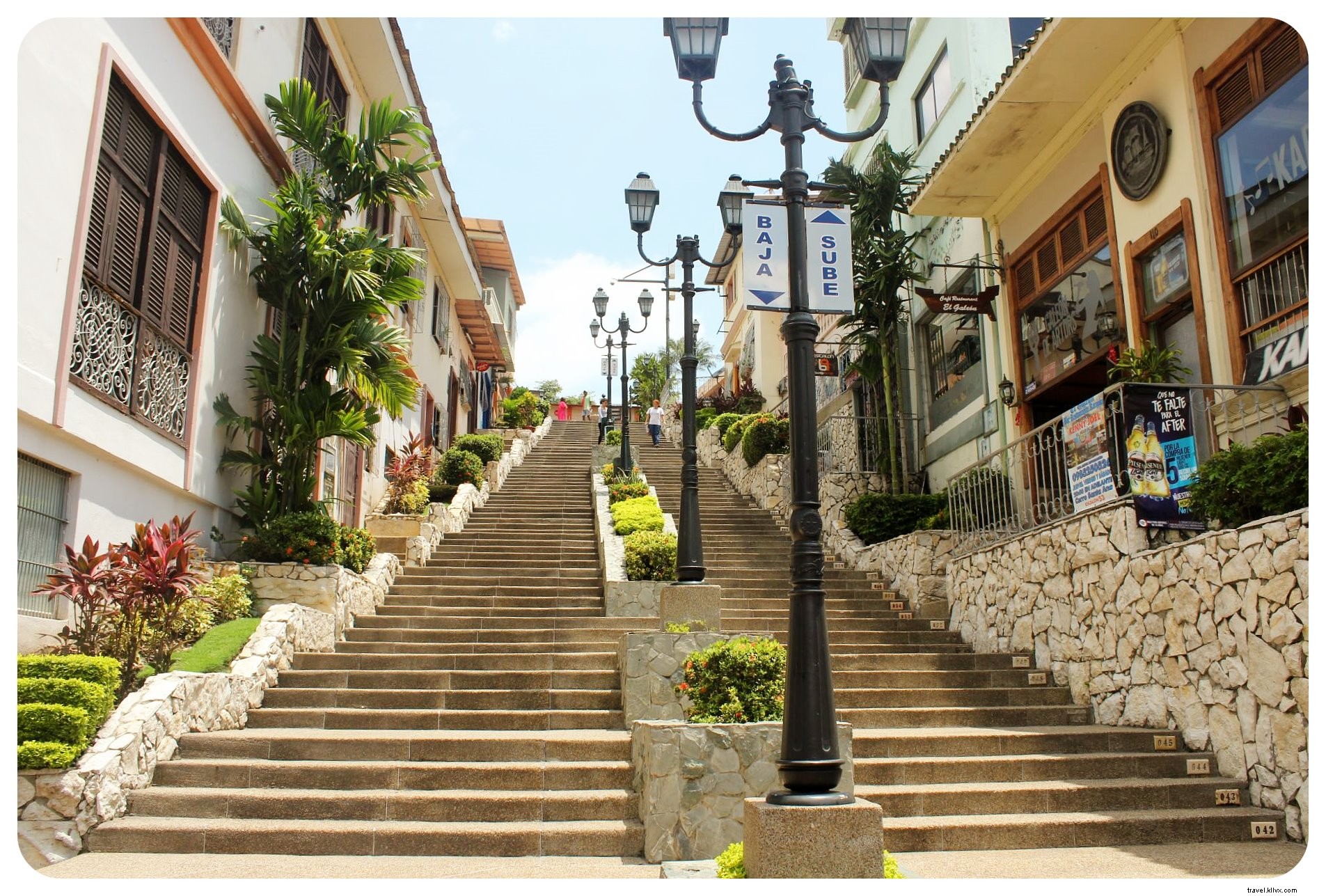 Why Iguanas Won Me Over in Guayaquil: Exploring Ecuador s Bustling Port City