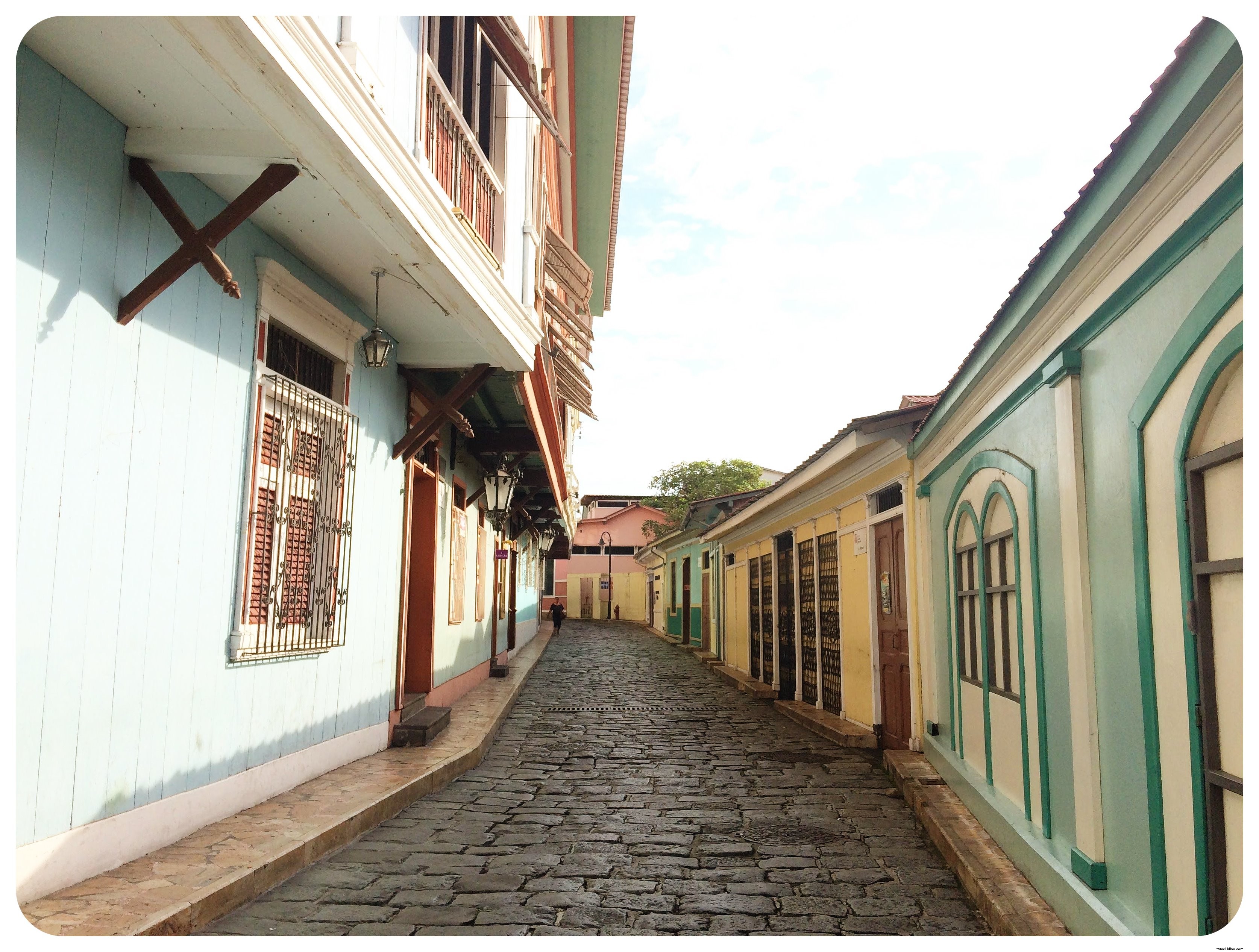 Why Iguanas Won Me Over in Guayaquil: Exploring Ecuador s Bustling Port City