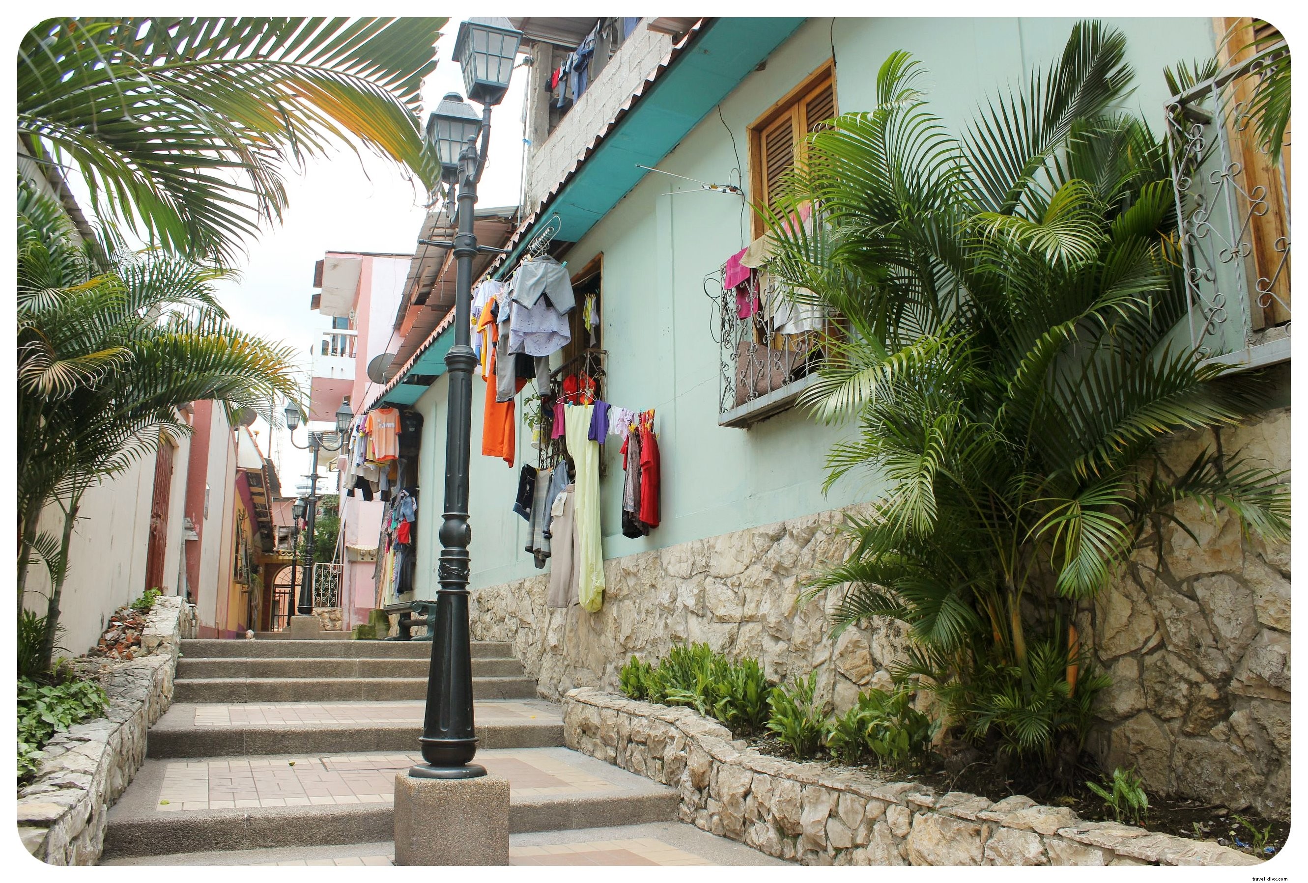 Why Iguanas Won Me Over in Guayaquil: Exploring Ecuador s Bustling Port City