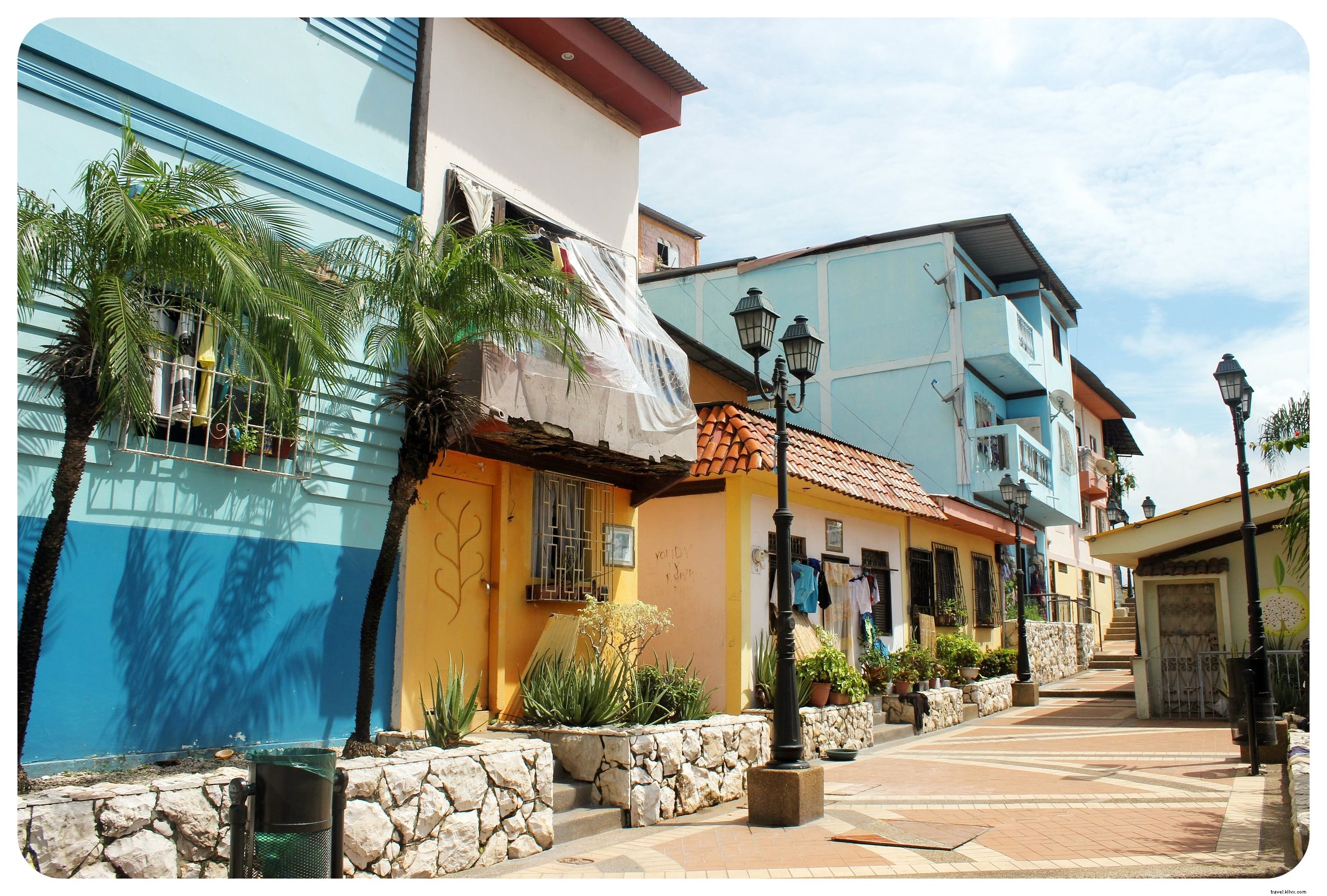 Why Iguanas Won Me Over in Guayaquil: Exploring Ecuador s Bustling Port City