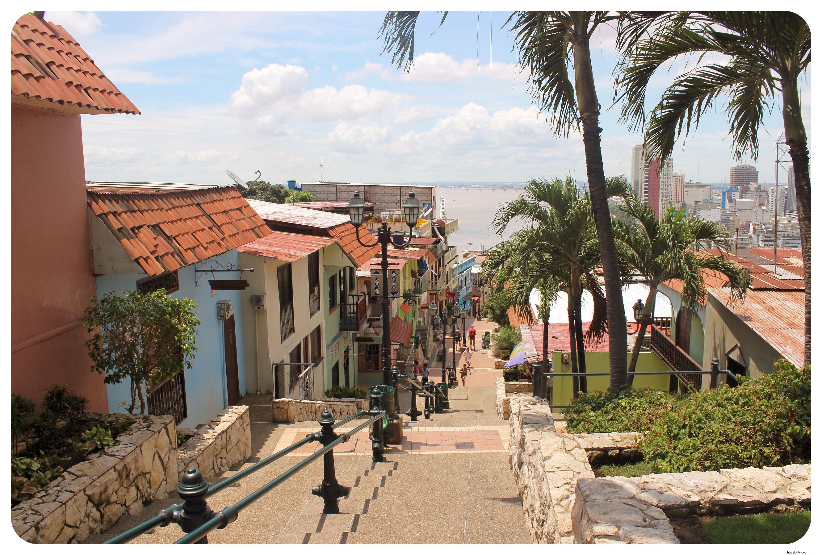 Why Iguanas Won Me Over in Guayaquil: Exploring Ecuador s Bustling Port City