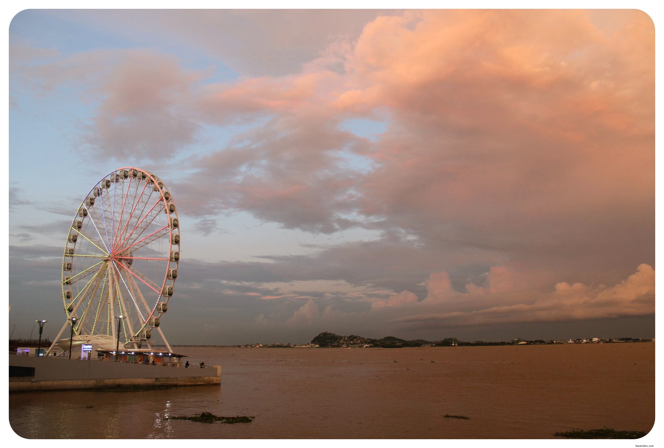 Why Iguanas Won Me Over in Guayaquil: Exploring Ecuador s Bustling Port City