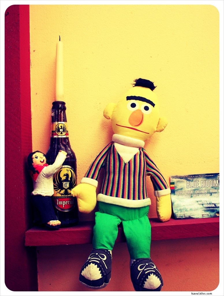 Best Budget Hotels in Cahuita, Costa Rica: Cabinas Atlantic Surf Review & Top Alternatives