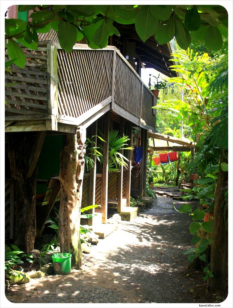 Best Budget Hotels in Cahuita, Costa Rica: Cabinas Atlantic Surf Review & Top Alternatives