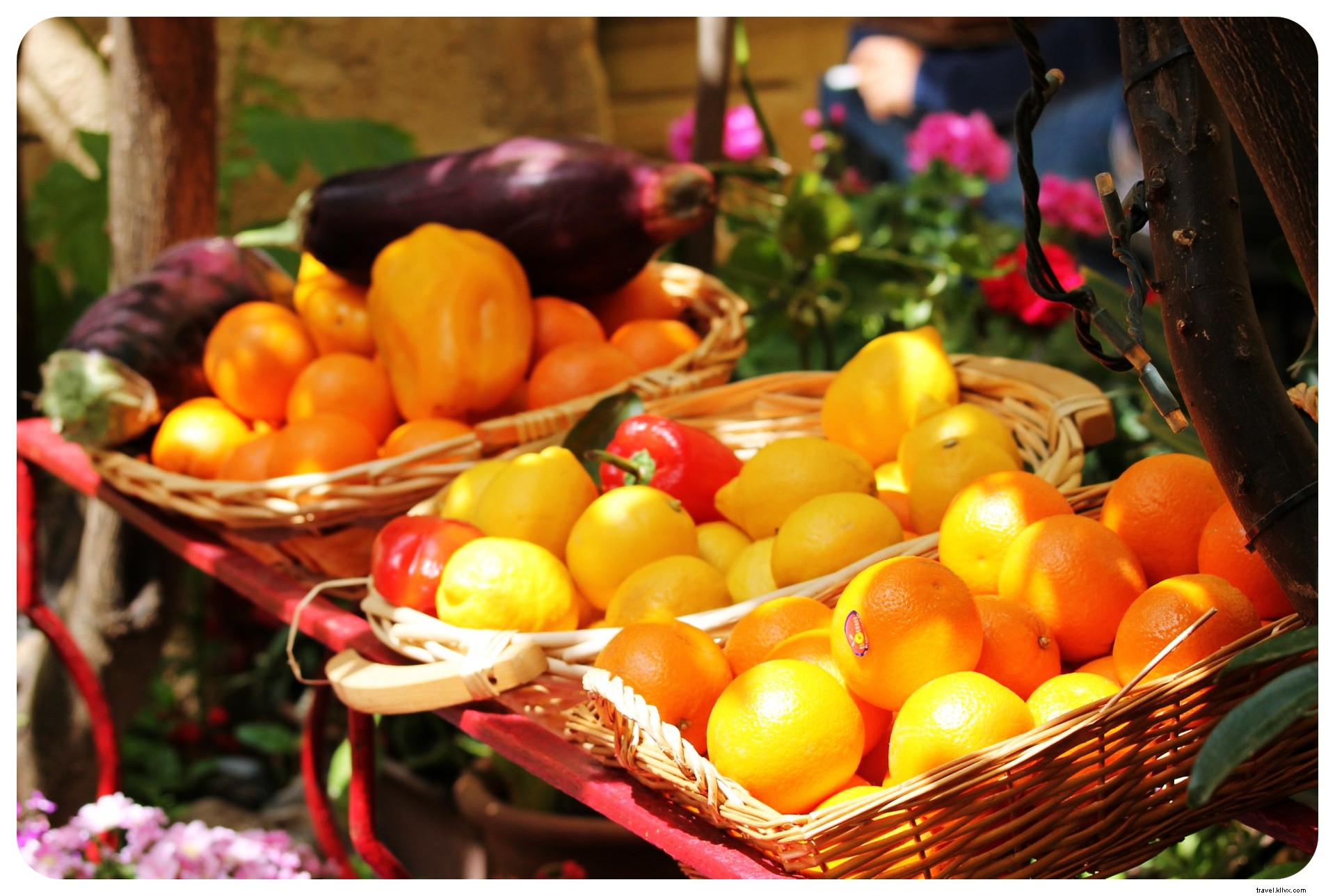 Europe s Top Foodie Destinations: A Gourmet Guide to Culinary Gems