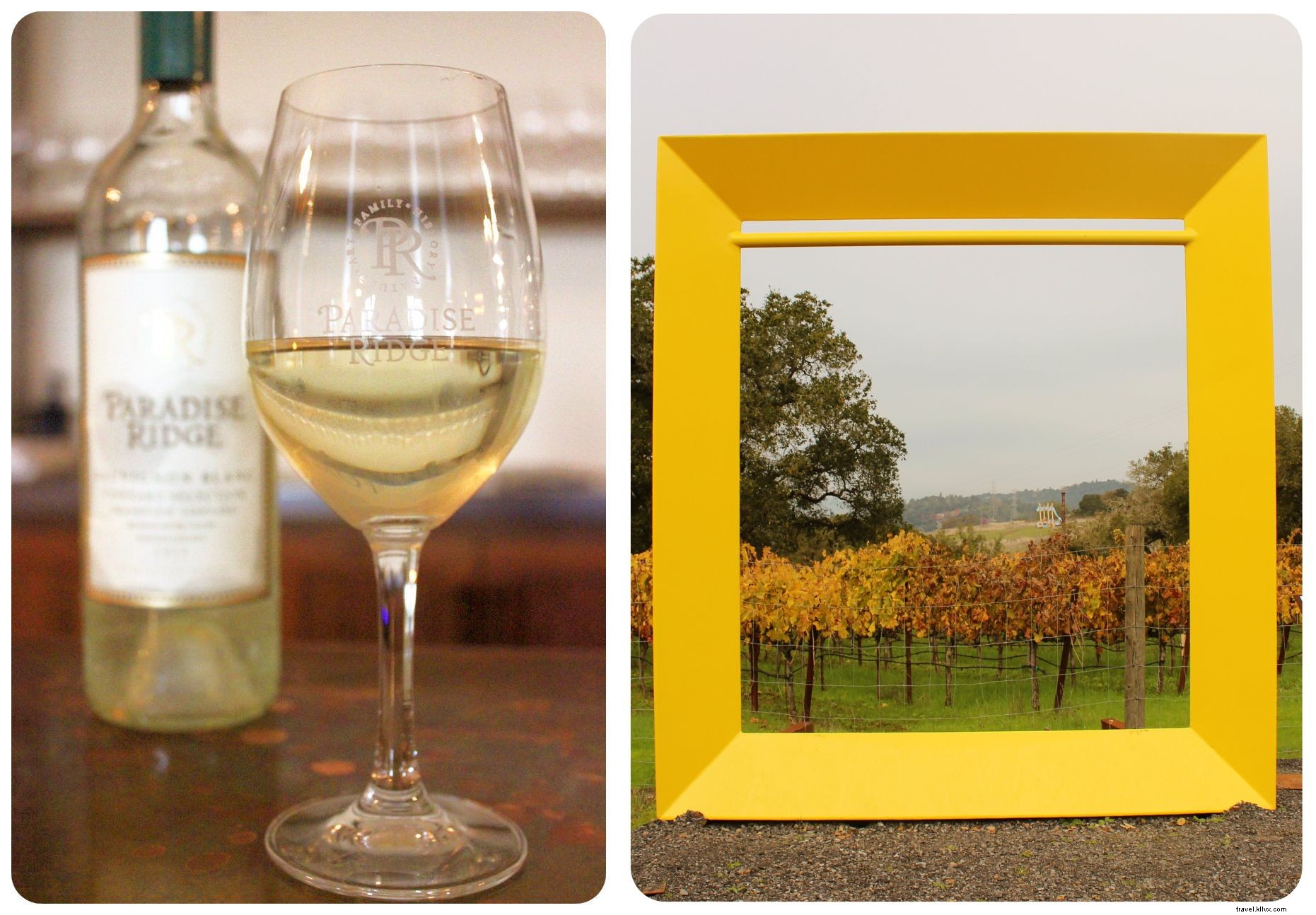 Ultimate LGBTQ+ Travel Guide to Santa Rosa and Sonoma Wine Country