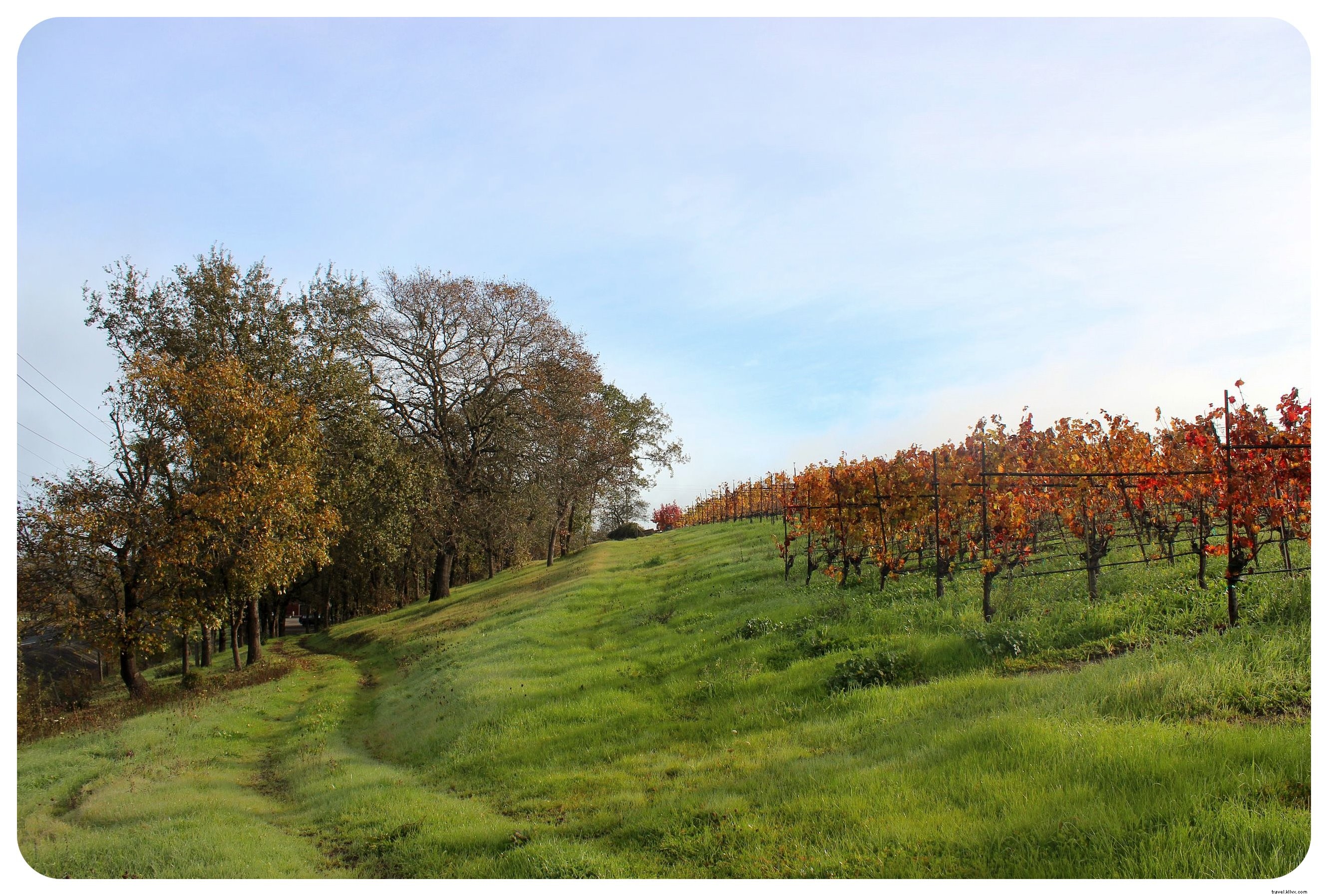 Ultimate LGBTQ+ Travel Guide to Santa Rosa and Sonoma Wine Country