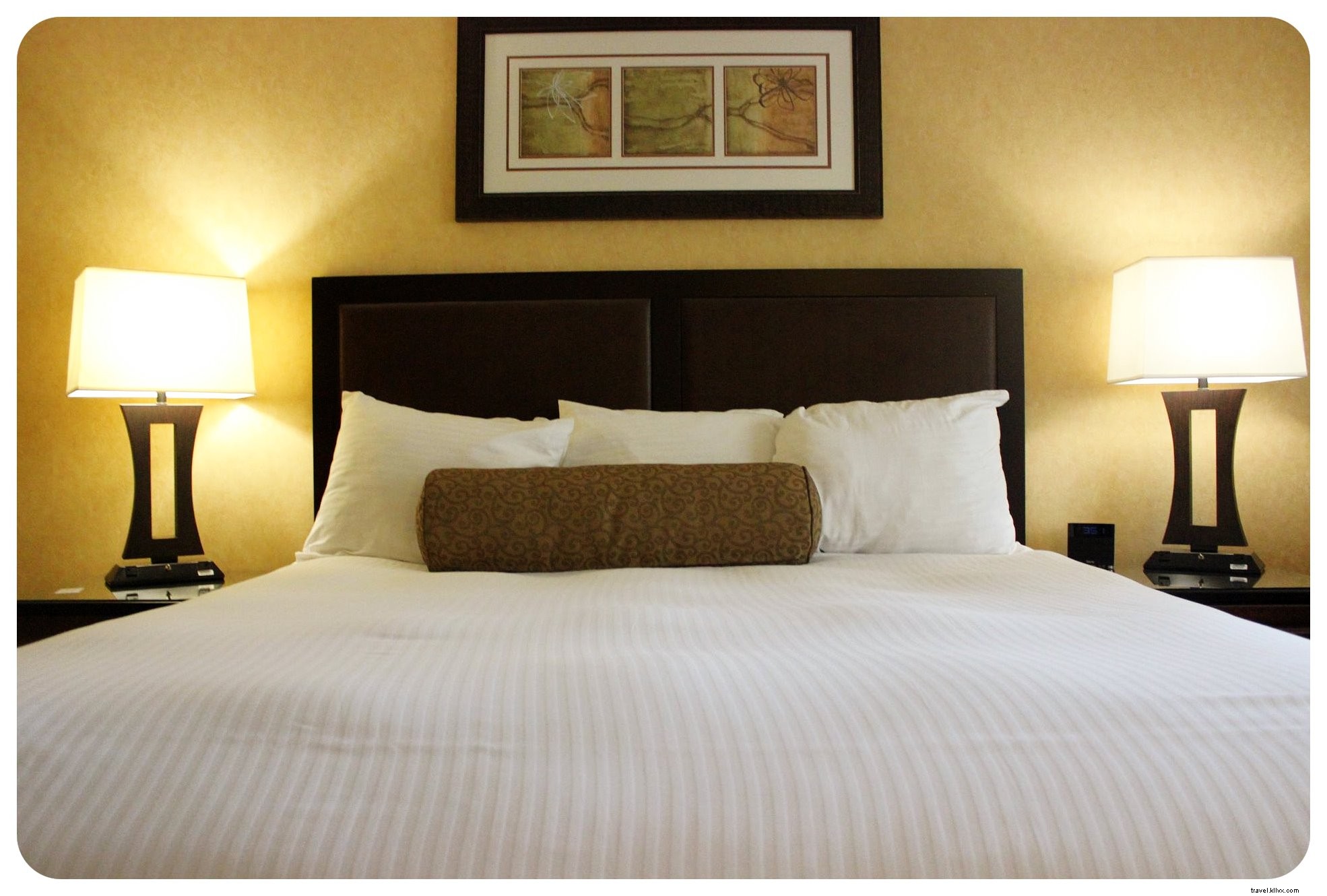 Ultimate LGBTQ+ Travel Guide to Santa Rosa and Sonoma Wine Country