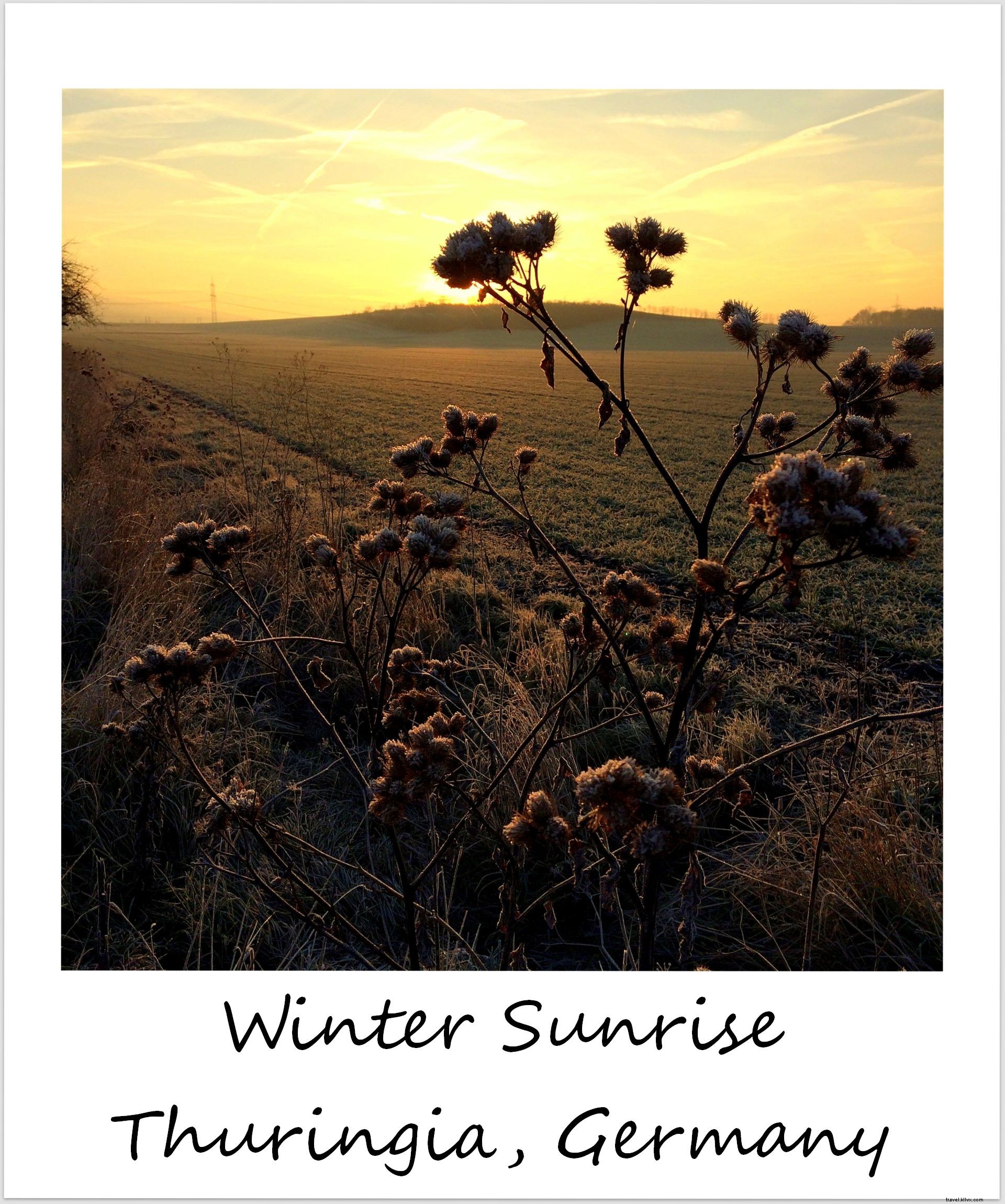 Polaroid of the Week: Breathtaking Winter Sunrise in Snowy Germany