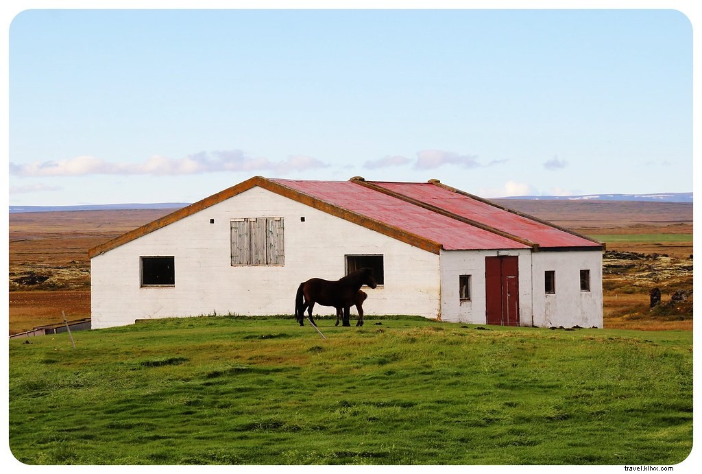 Epic Iceland Road Trip Part 3: Unmissable Northern Highlights from Dettifoss to Mývatn