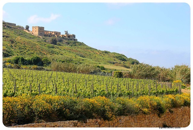 Gozo, Malta: Why This Serene Sister Island Deserves Your Day Trip