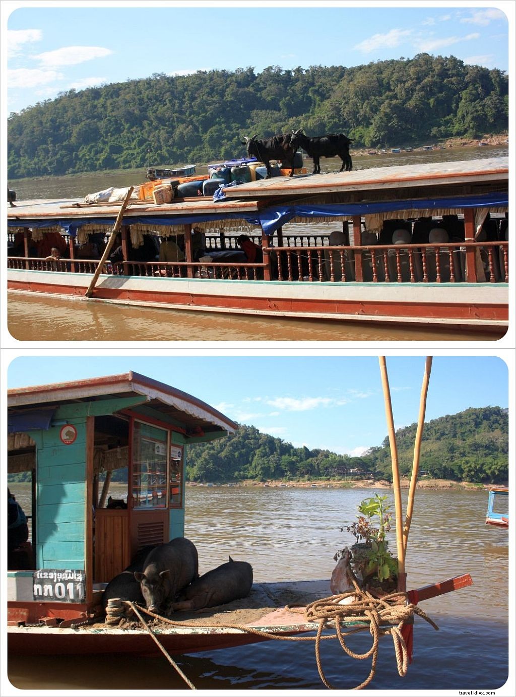 33 Captivating Reasons We Fell in Love with Laos: Traveler s Top Highlights