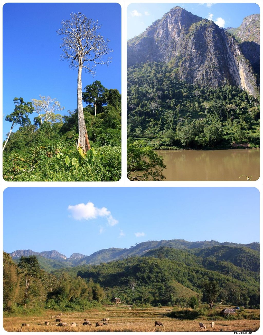 33 Captivating Reasons We Fell in Love with Laos: Traveler s Top Highlights