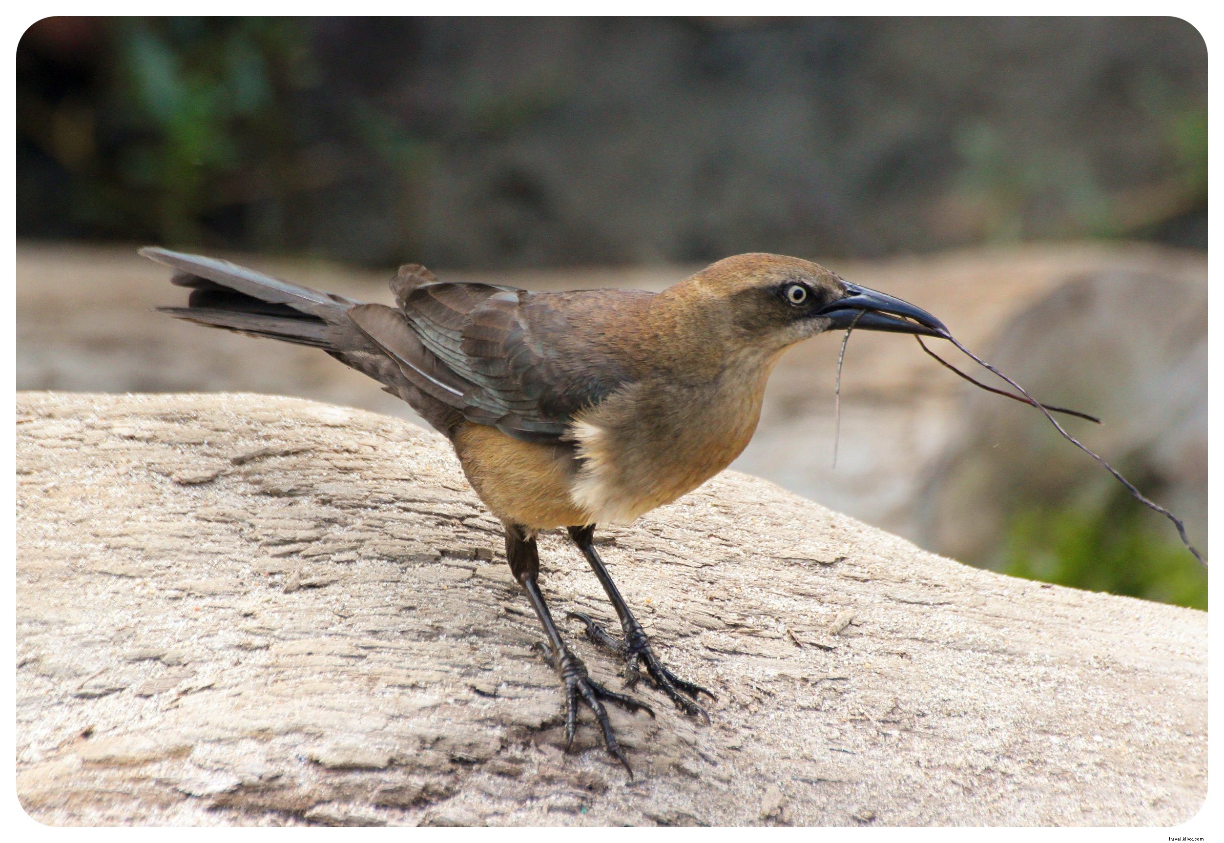 Tayrona National Park, Colombia: Jungle Trails and Caribbean Beaches Await