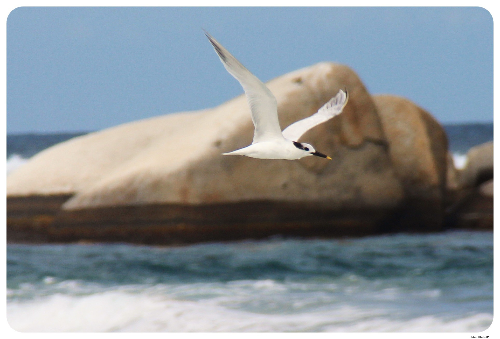 Tayrona National Park, Colombia: Jungle Trails and Caribbean Beaches Await
