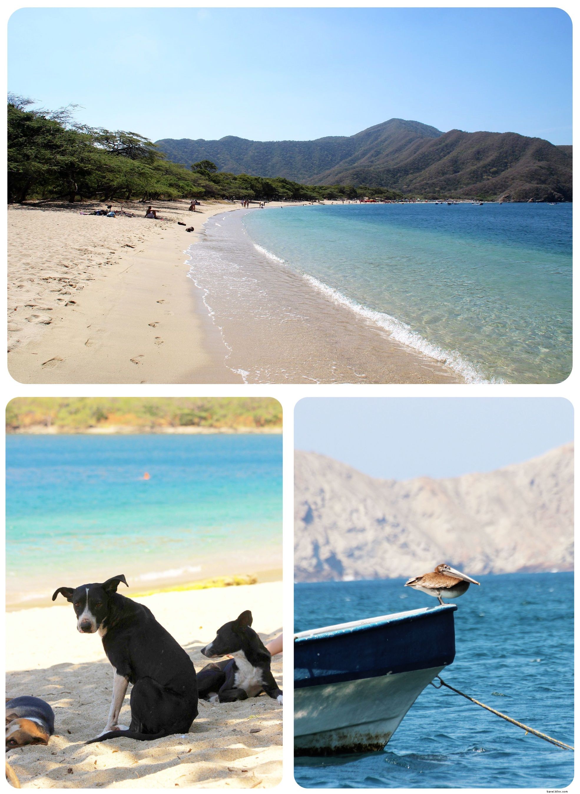 Tayrona National Park, Colombia: Jungle Trails and Caribbean Beaches Await
