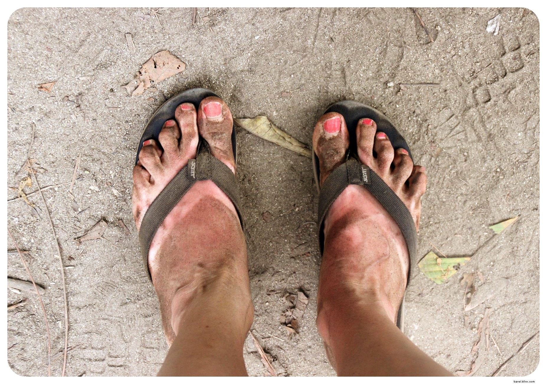 Tayrona National Park, Colombia: Jungle Trails and Caribbean Beaches Await