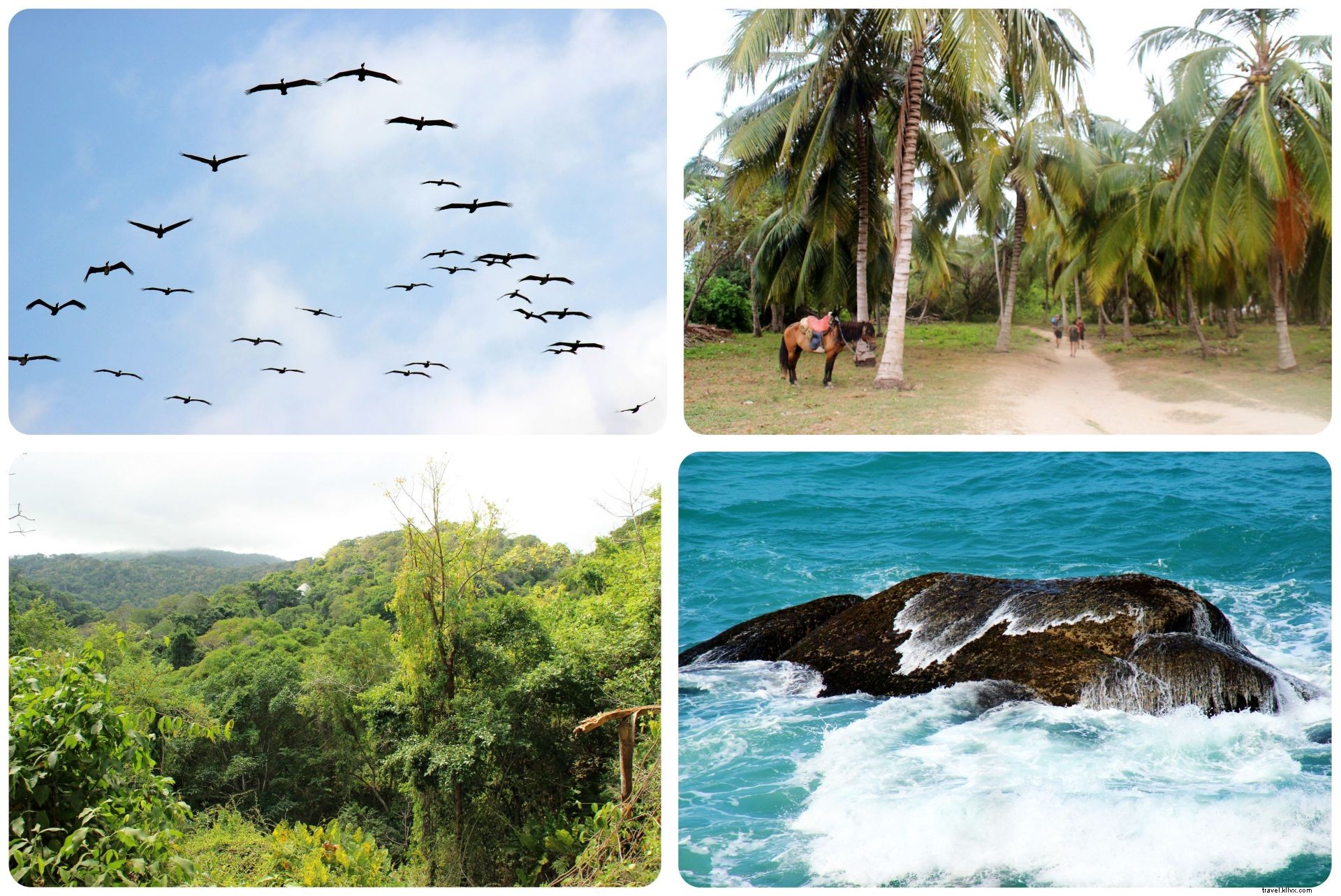 Tayrona National Park, Colombia: Jungle Trails and Caribbean Beaches Await