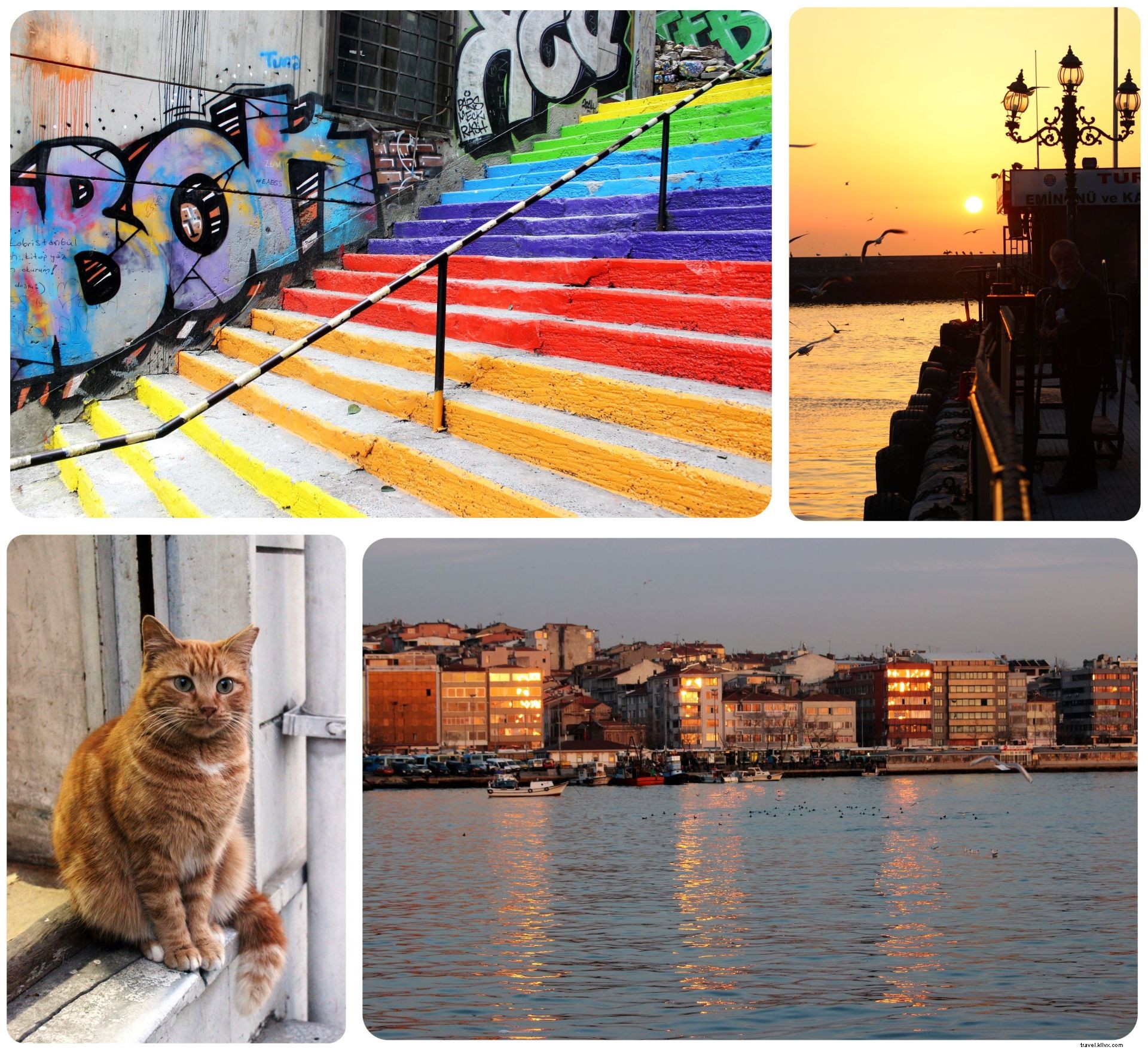 Why Visit Istanbul Now: Timeless History, Cuisine, and Hospitality Await