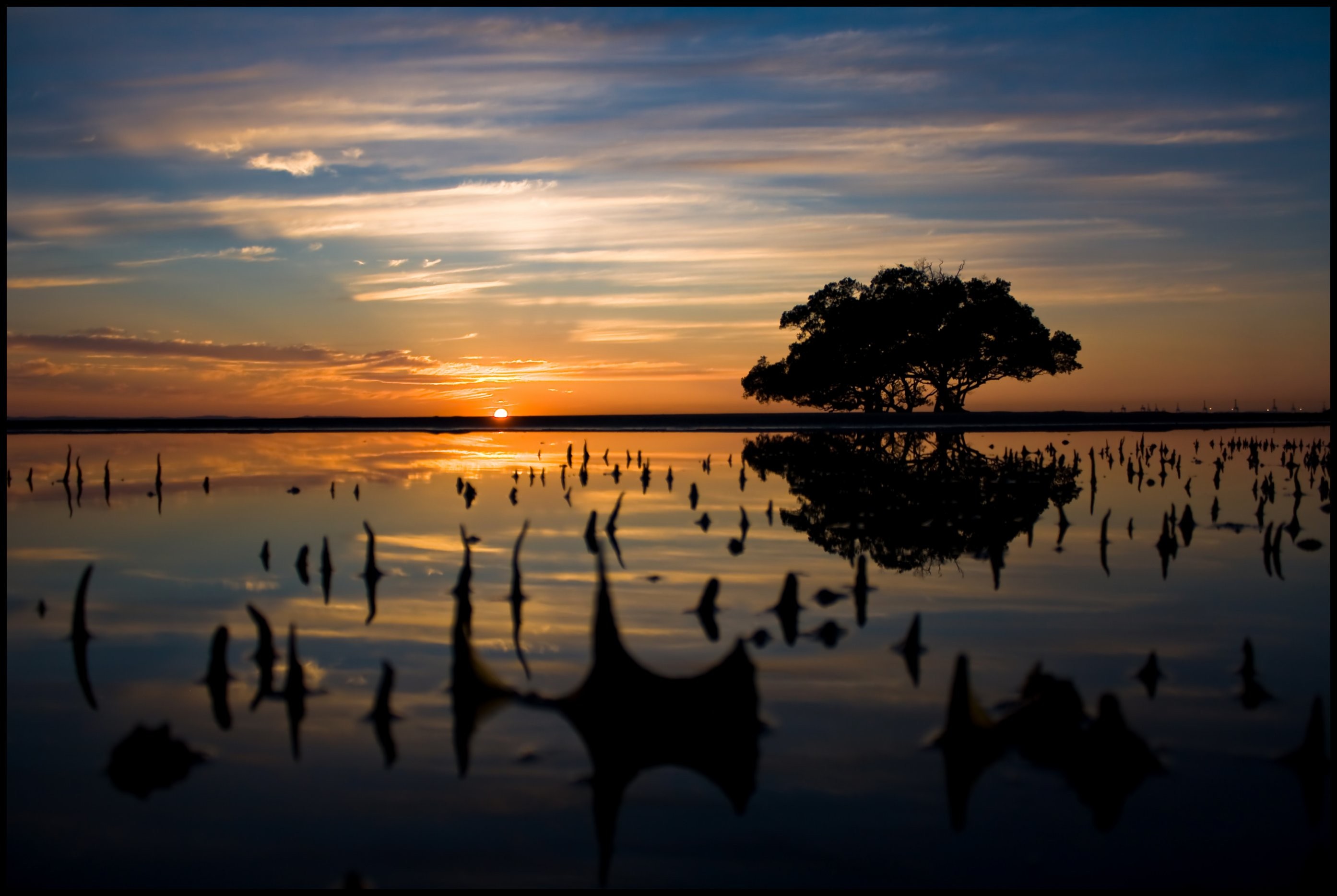 Discover Brisbane: 5 Compelling Reasons to Visit Queensland s Vibrant Capital