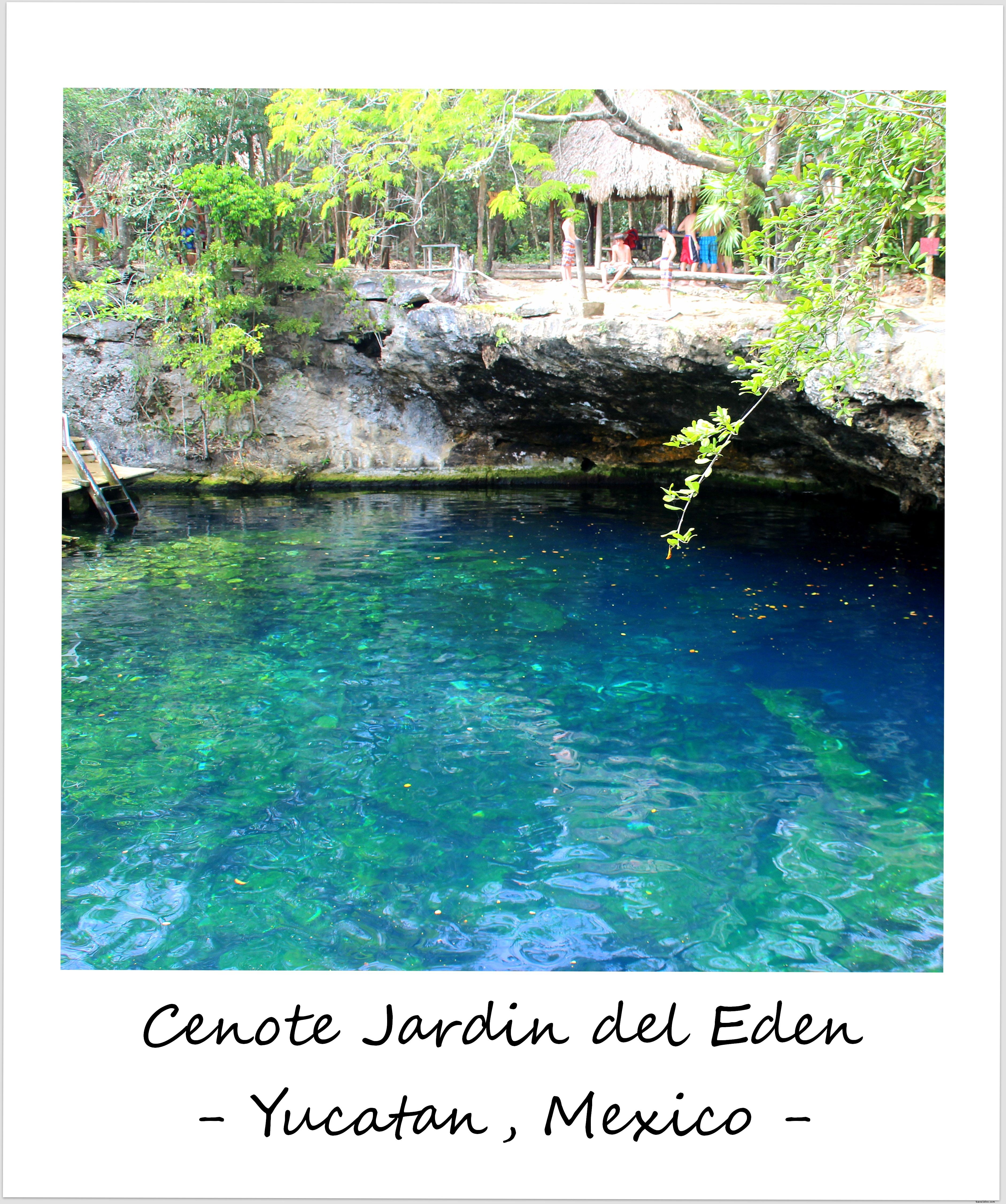 Discover the Mystical Cenotes of Yucatan: Mexico s Stunning Natural Sinkholes