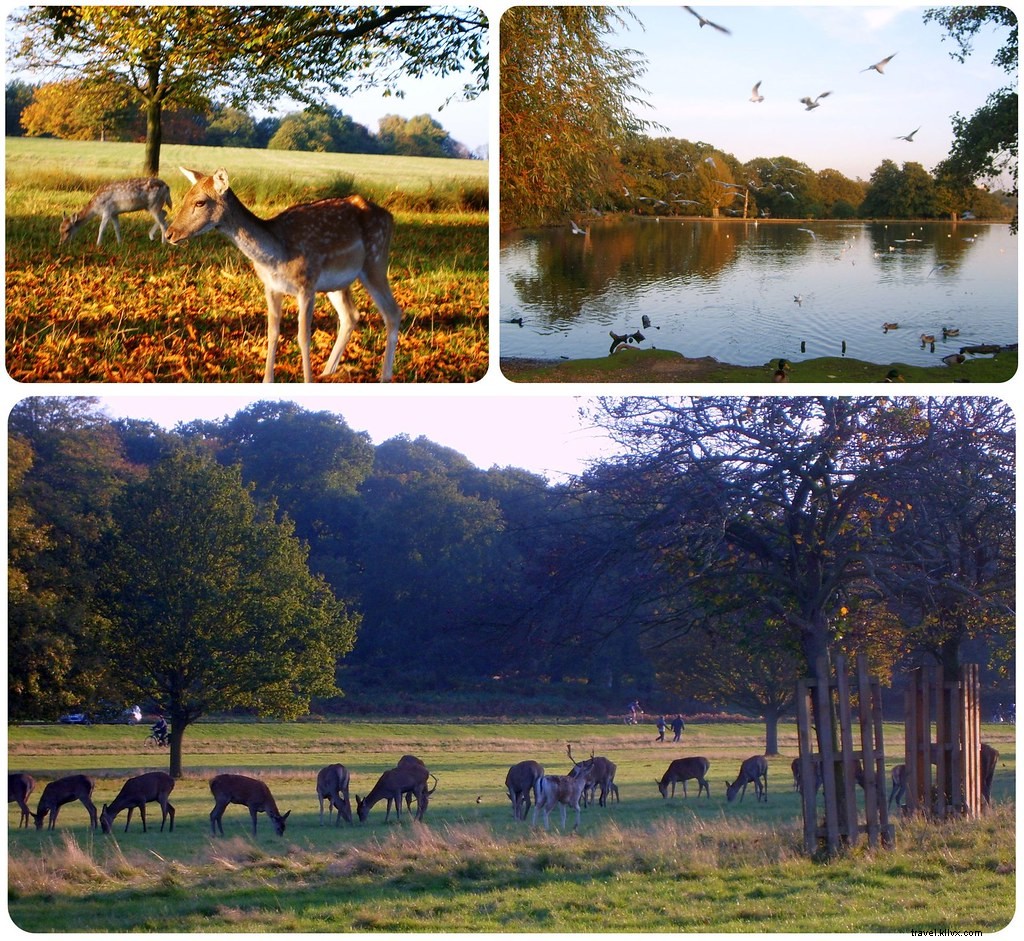 5 Compelling Reasons to Visit London in Winter: Insights from Seasoned Locals