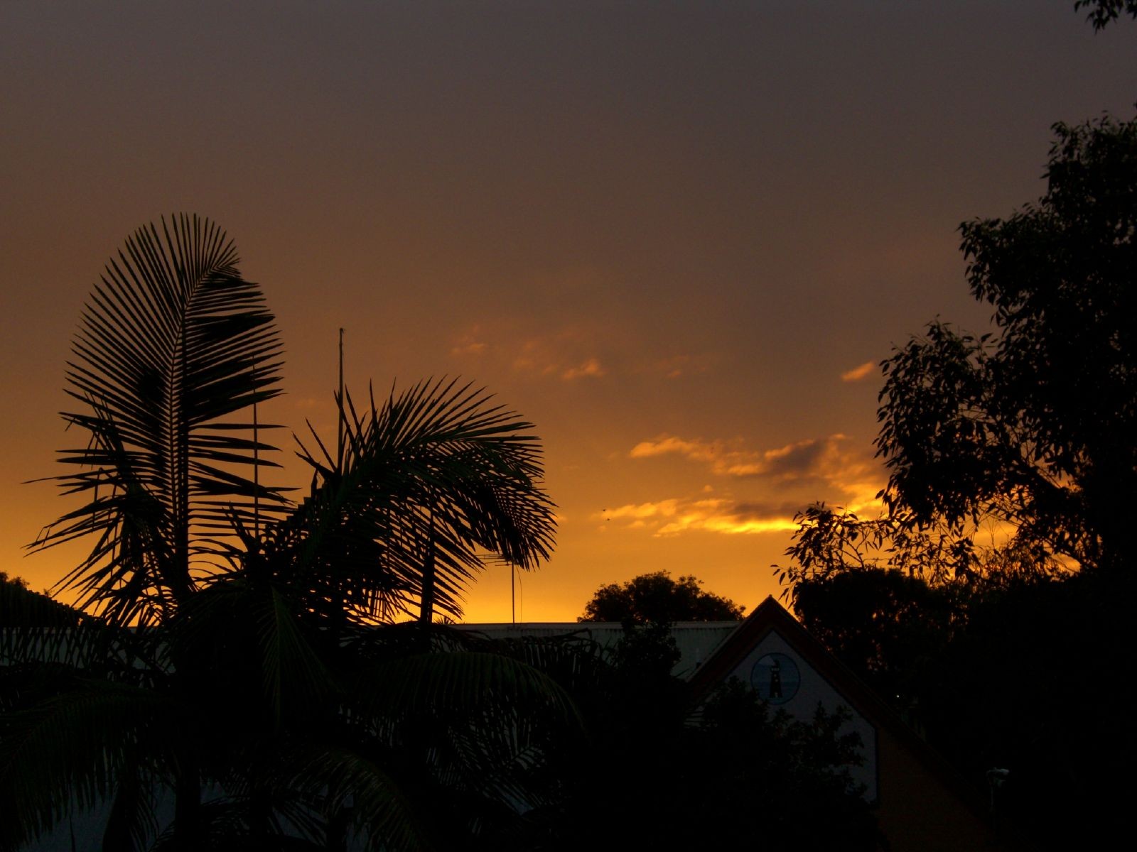 Top 12 YHA Hostels in Australia: Expert Picks for Unforgettable Stays