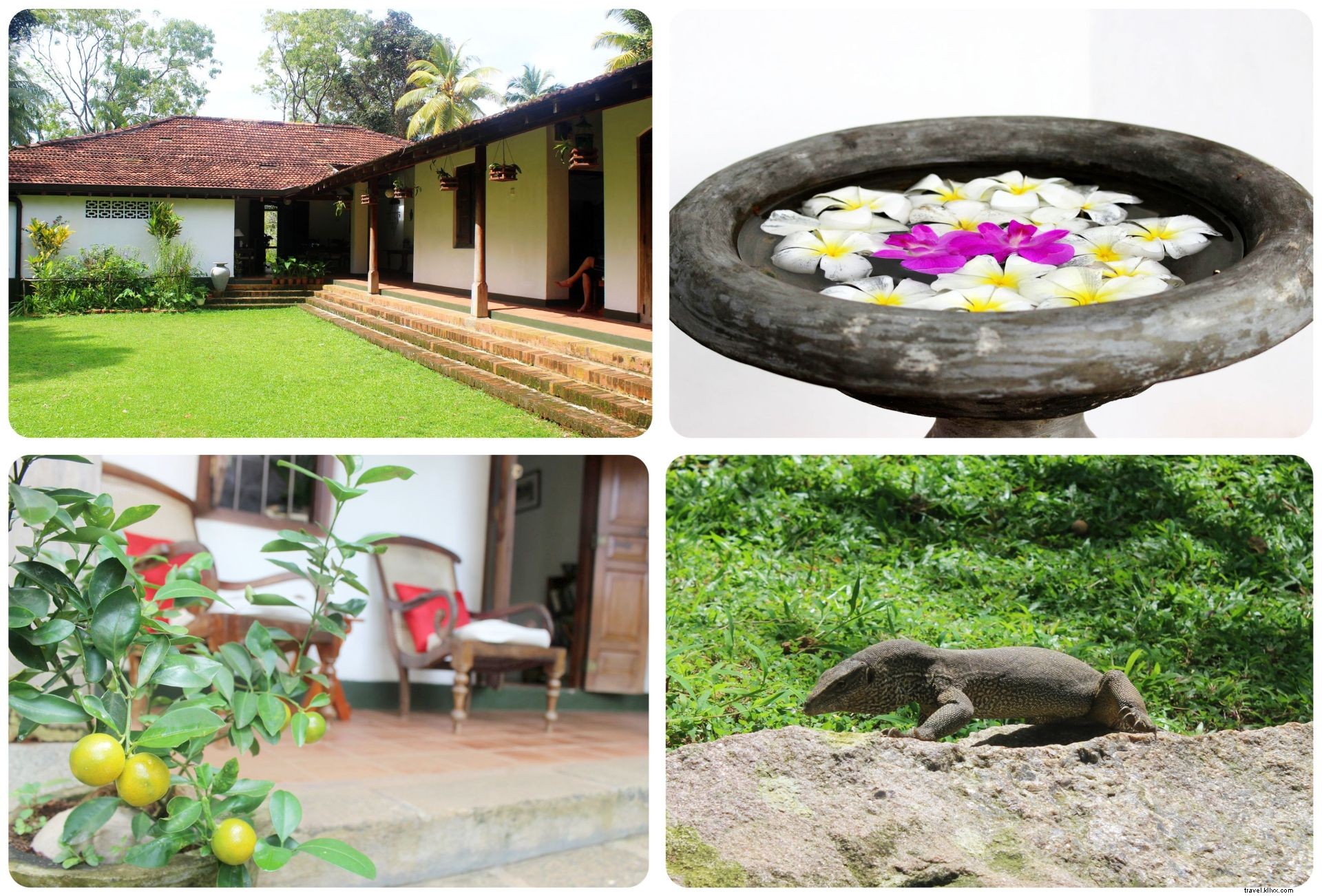 Villa Templeberg: Serene B&B Retreat Near Galle, Sri Lanka