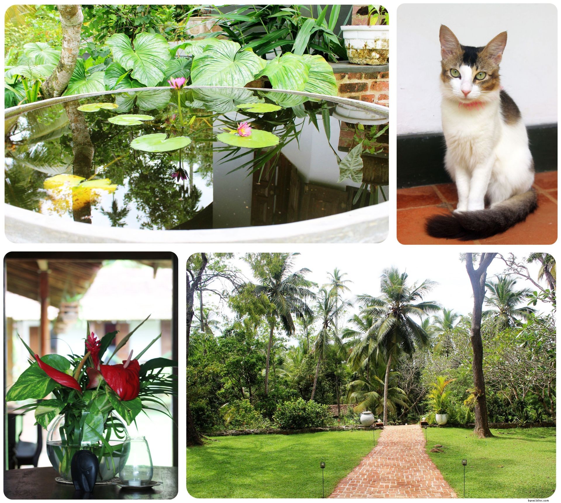 Villa Templeberg: Serene B&B Retreat Near Galle, Sri Lanka